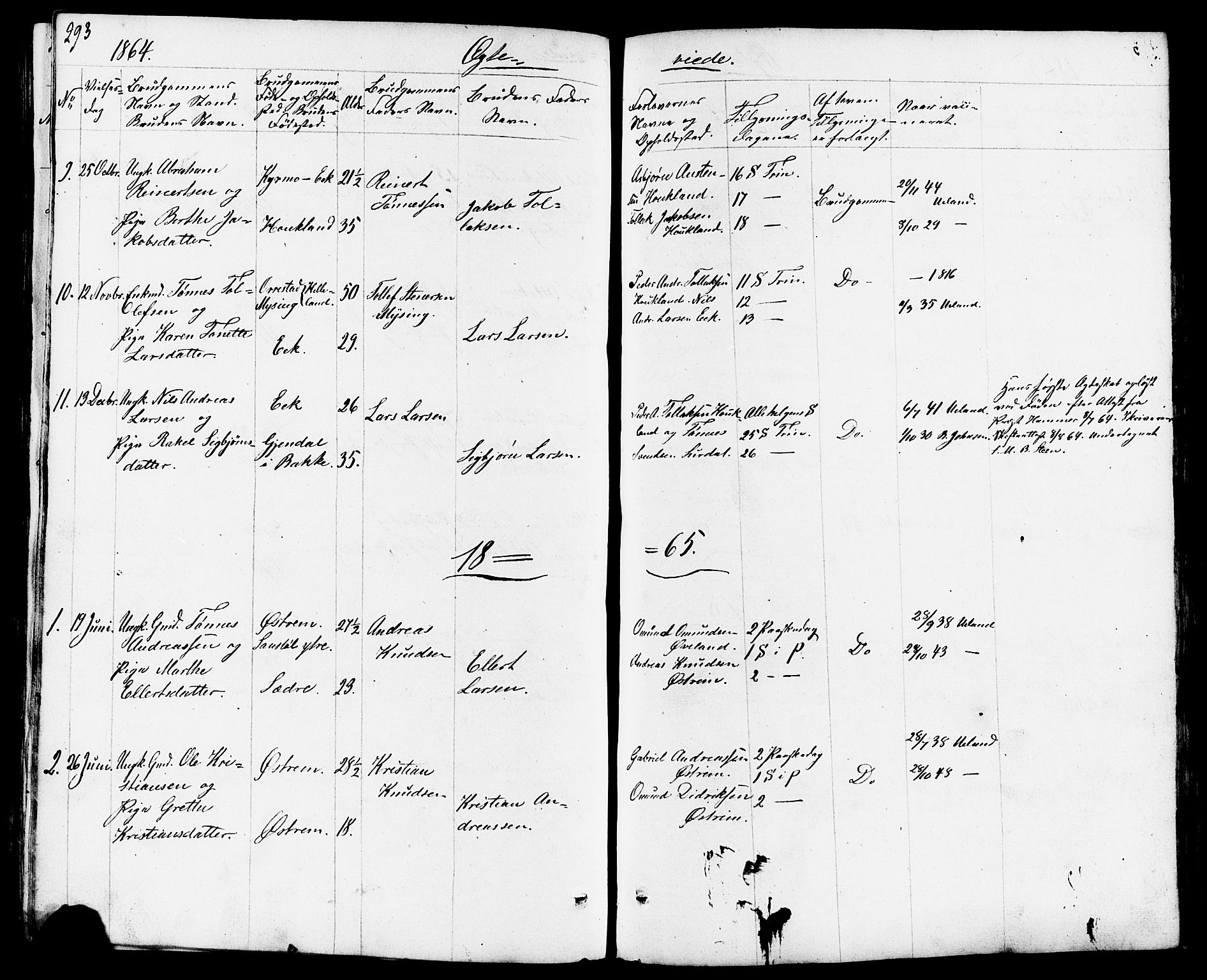 Lund sokneprestkontor, AV/SAST-A-101809/S07/L0003: Parish register (copy) no. B 3, 1848-1885, p. 293