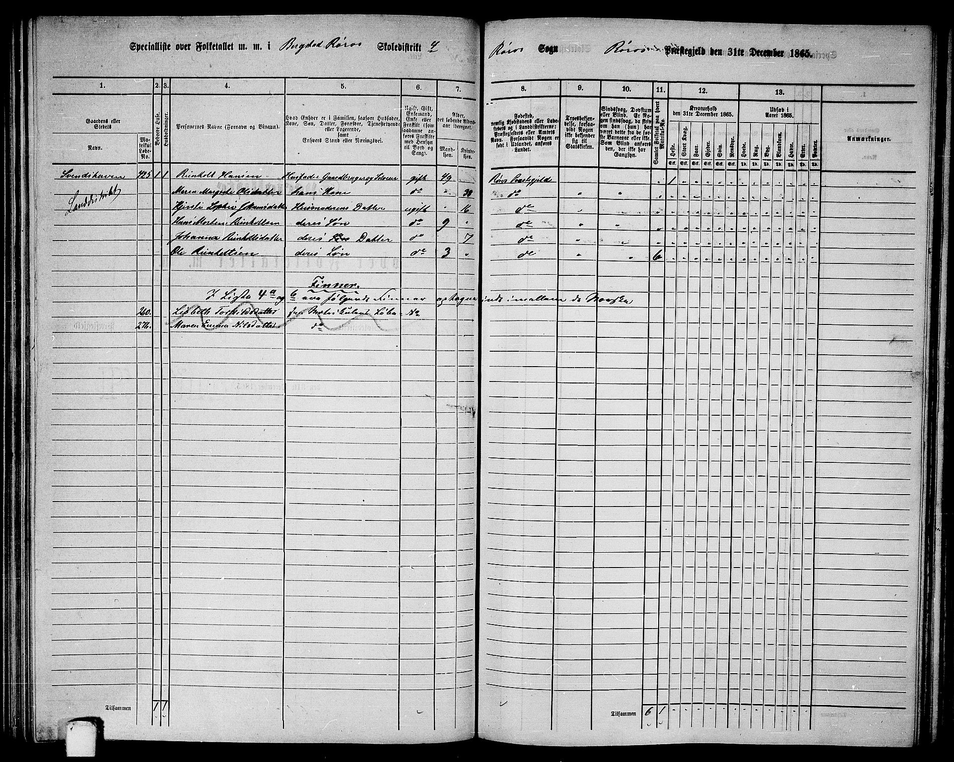 RA, 1865 census for Røros, 1865, p. 88