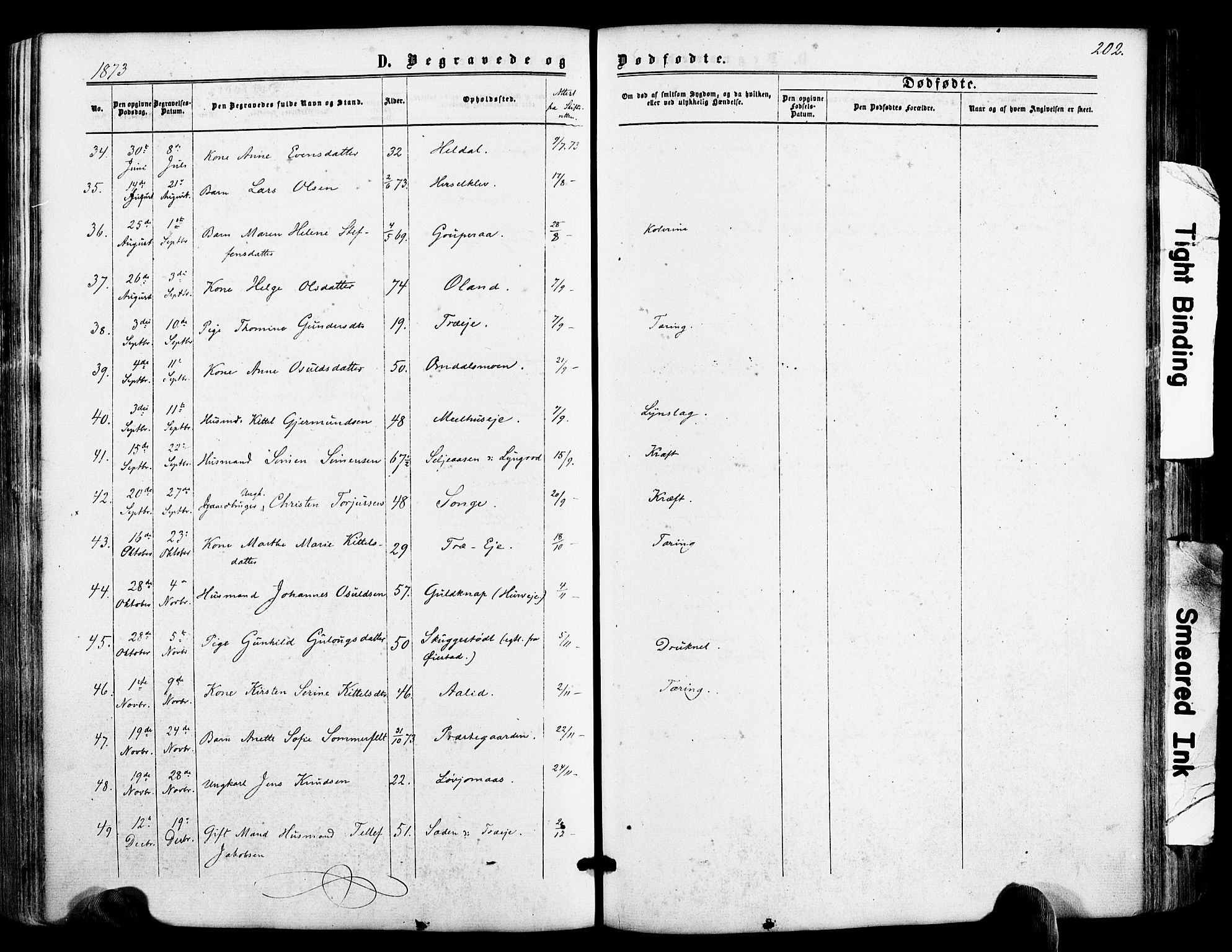 Froland sokneprestkontor, AV/SAK-1111-0013/F/Fa/L0003: Parish register (official) no. A 3, 1864-1881, p. 202