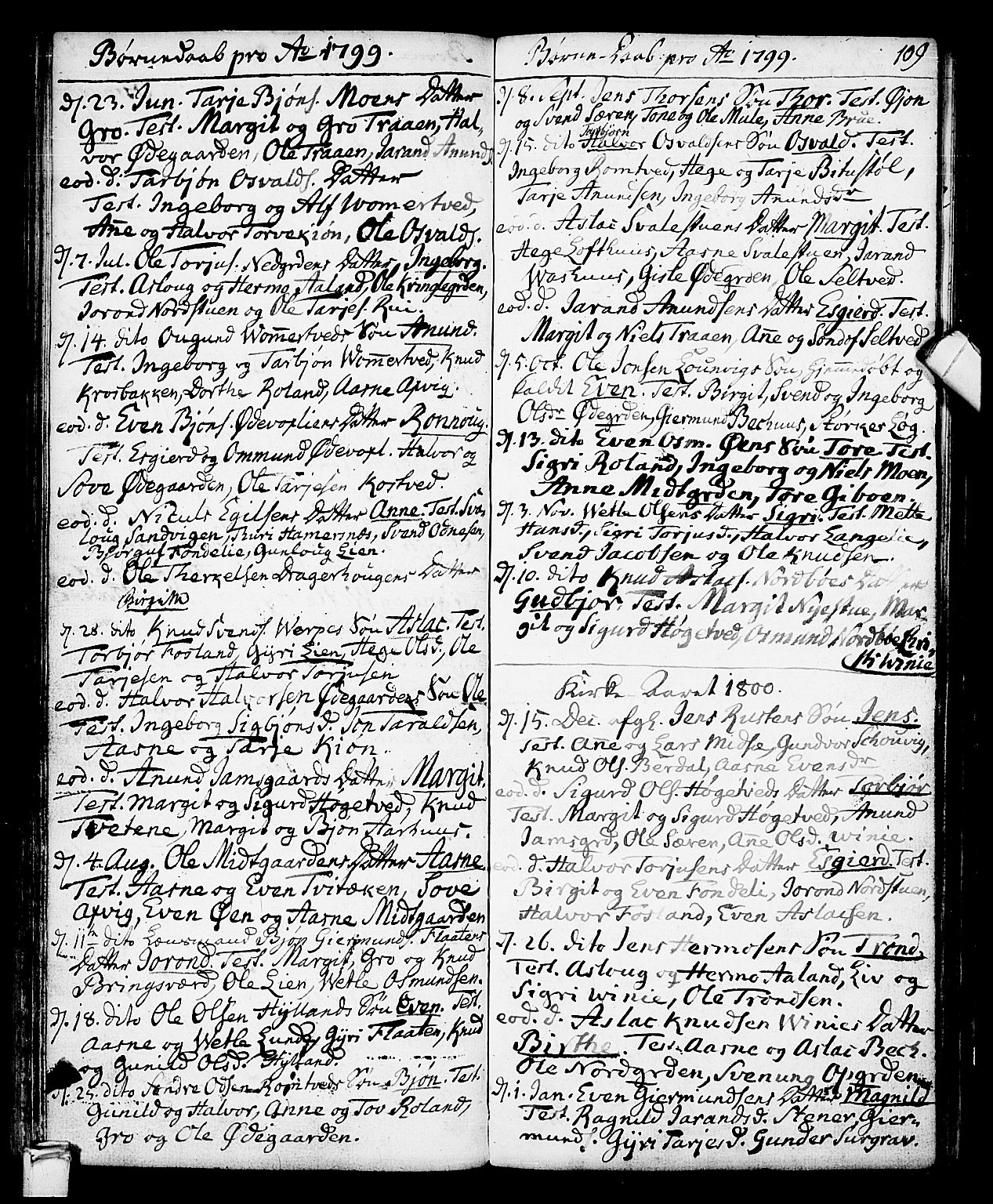Vinje kirkebøker, AV/SAKO-A-312/F/Fa/L0002: Parish register (official) no. I 2, 1767-1814, p. 109