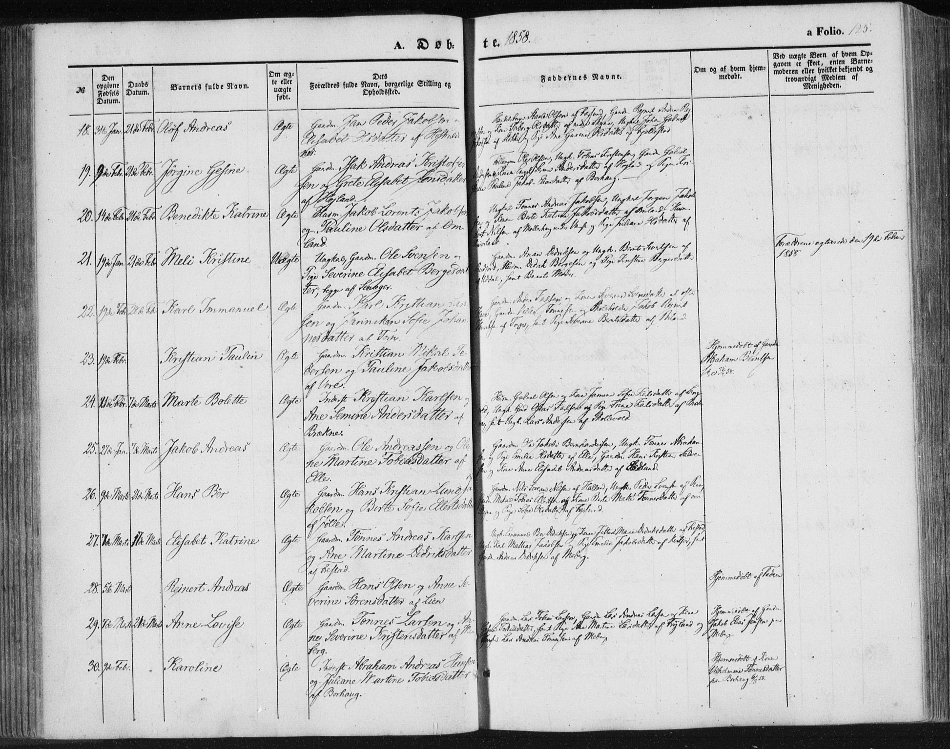 Lista sokneprestkontor, AV/SAK-1111-0027/F/Fa/L0010: Parish register (official) no. A 10, 1846-1861, p. 125