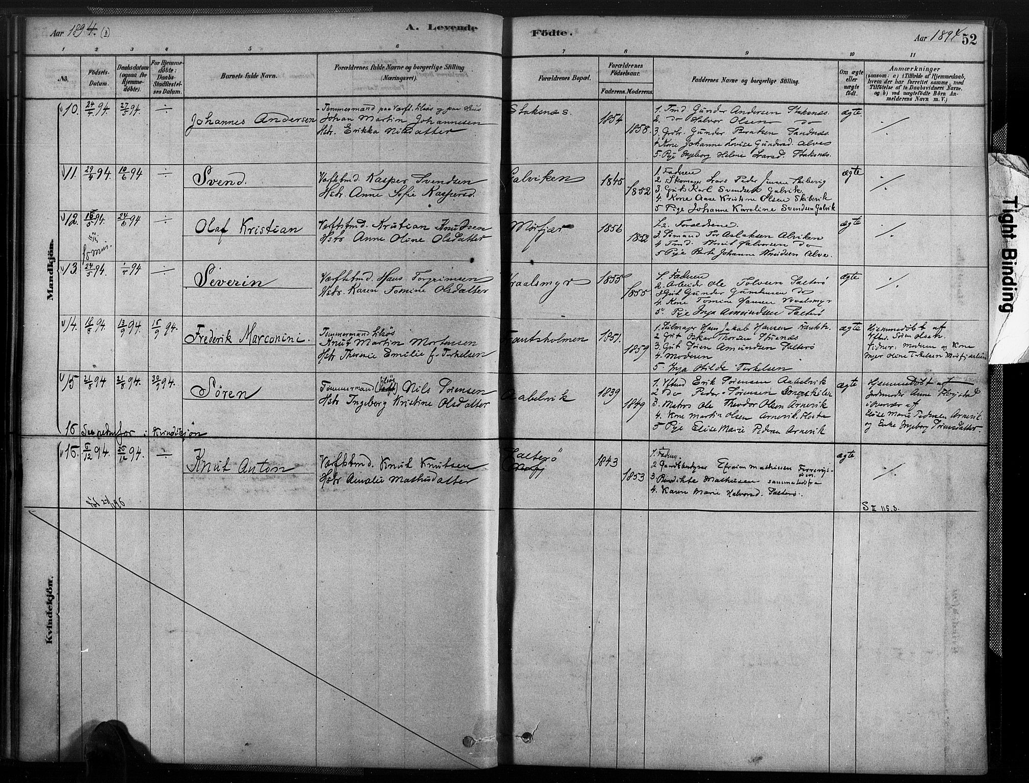 Austre Moland sokneprestkontor, SAK/1111-0001/F/Fa/Fab/L0001: Parish register (official) no. A 1, 1878-1898, p. 52