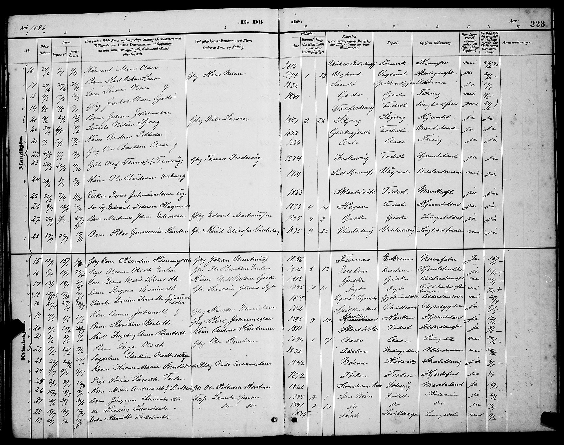 Ministerialprotokoller, klokkerbøker og fødselsregistre - Møre og Romsdal, SAT/A-1454/528/L0430: Parish register (copy) no. 528C11, 1884-1899, p. 223