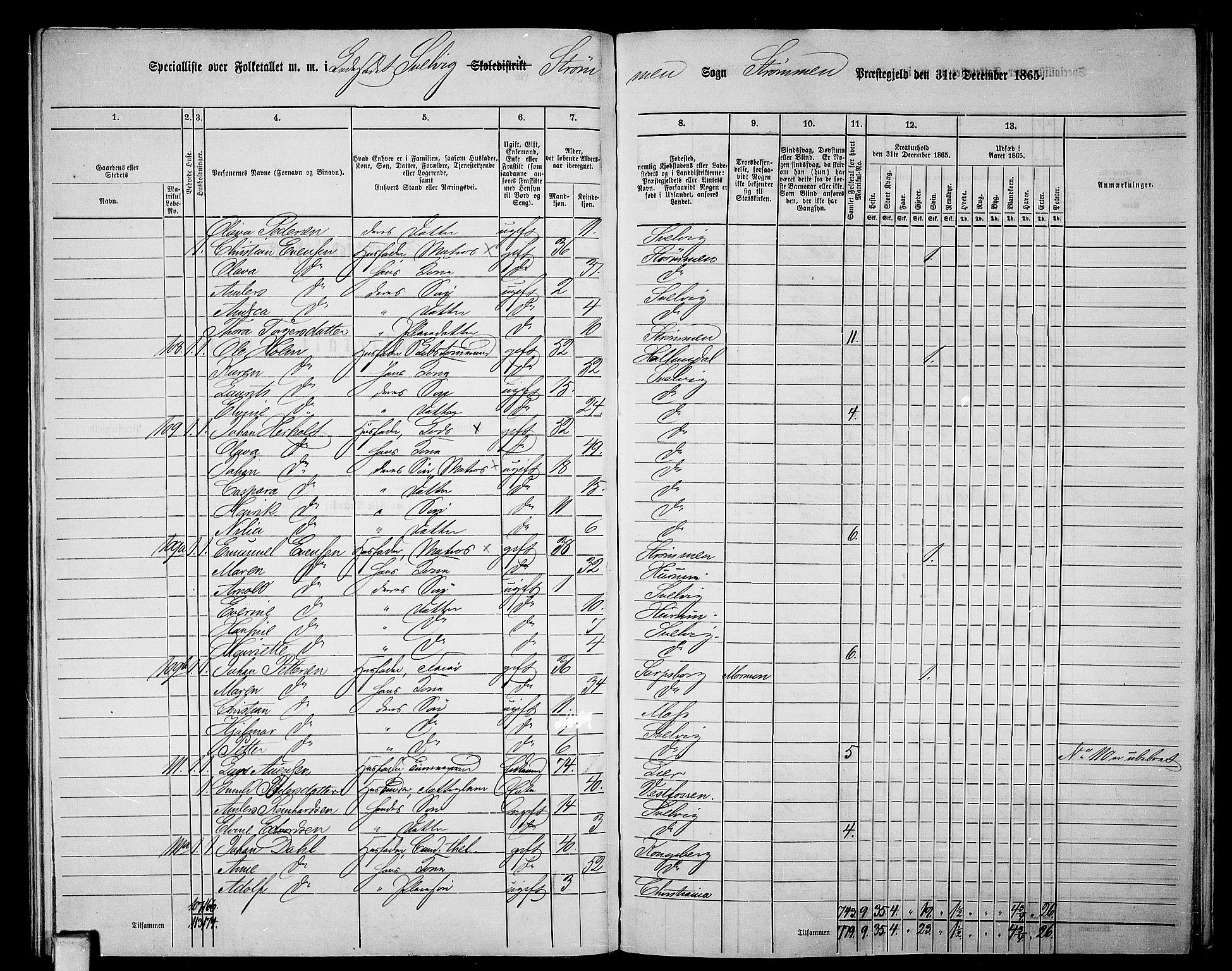 RA, 1865 census for Strømm, 1865, p. 88