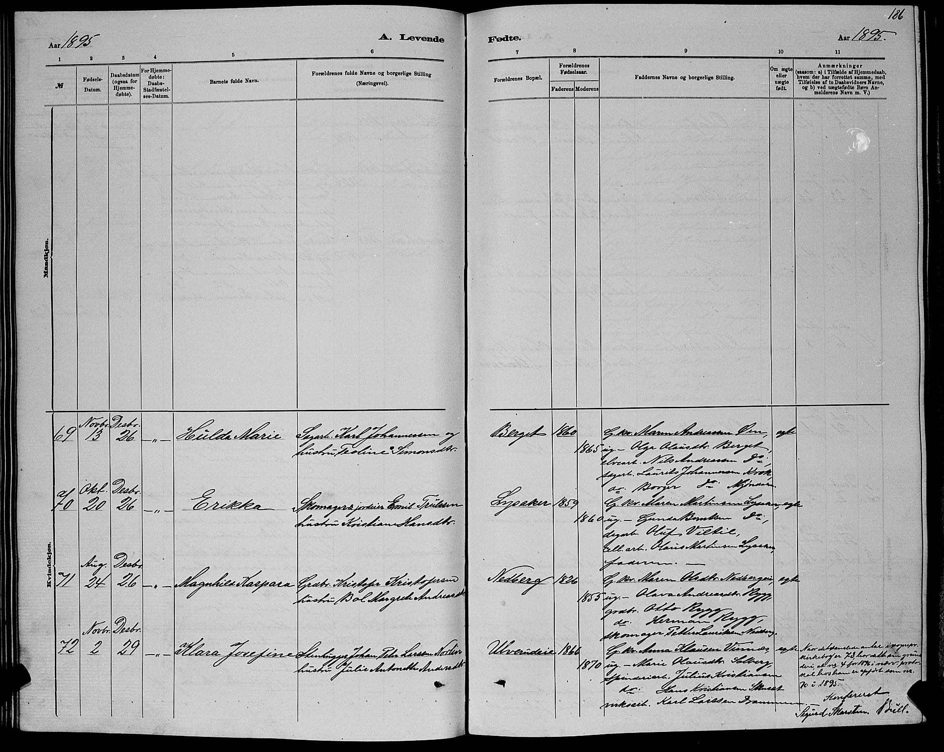 Nedre Eiker kirkebøker, AV/SAKO-A-612/G/Ga/L0002: Parish register (copy) no. 2, 1880-1896, p. 186