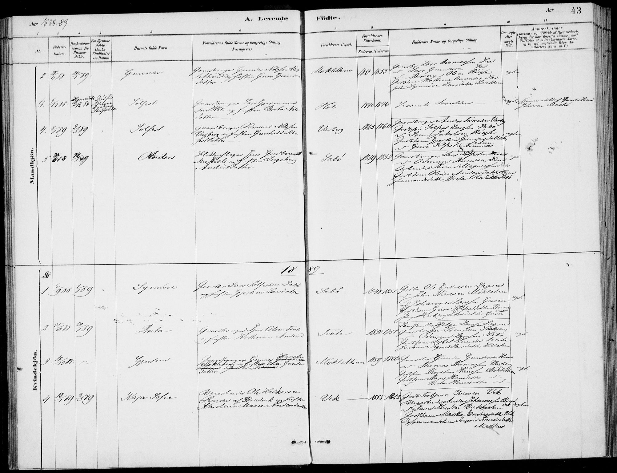 Ulvik sokneprestembete, SAB/A-78801/H/Haa: Parish register (official) no. D  1, 1878-1903, p. 43
