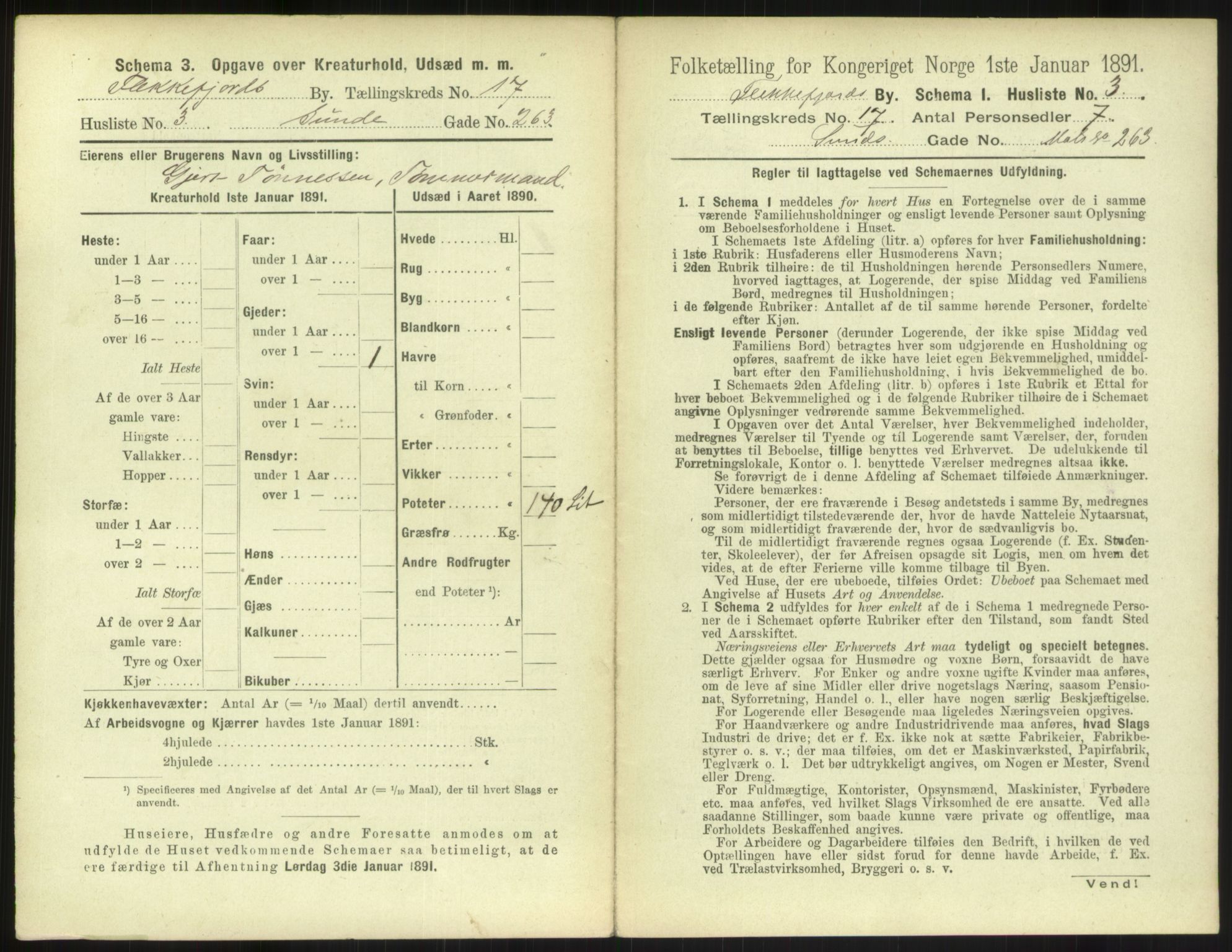 RA, 1891 census for 1004 Flekkefjord, 1891, p. 586