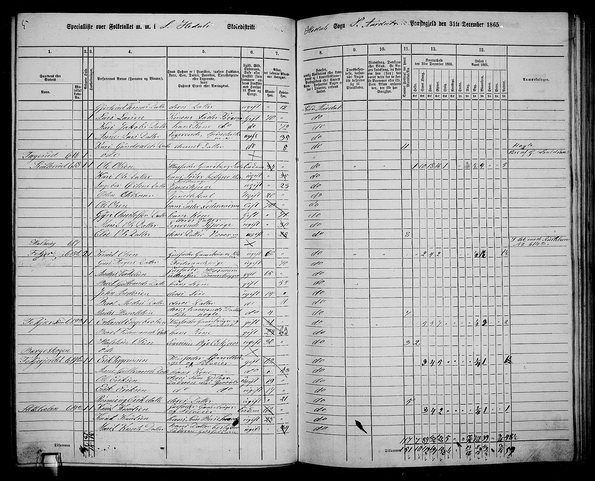 RA, 1865 census for Sør-Aurdal, 1865, p. 172