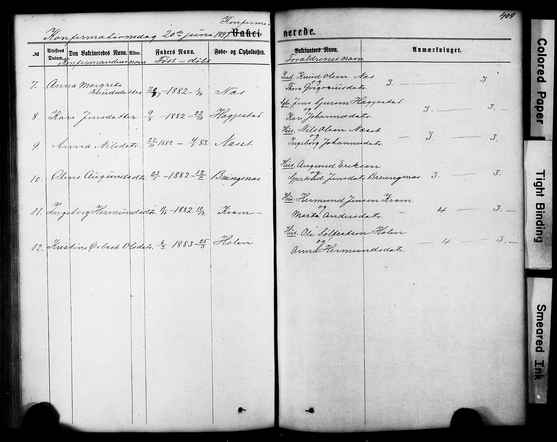 Hafslo sokneprestembete, SAB/A-80301/H/Hab/Haba/L0001: Parish register (copy) no. A 1, 1866-1908, p. 409