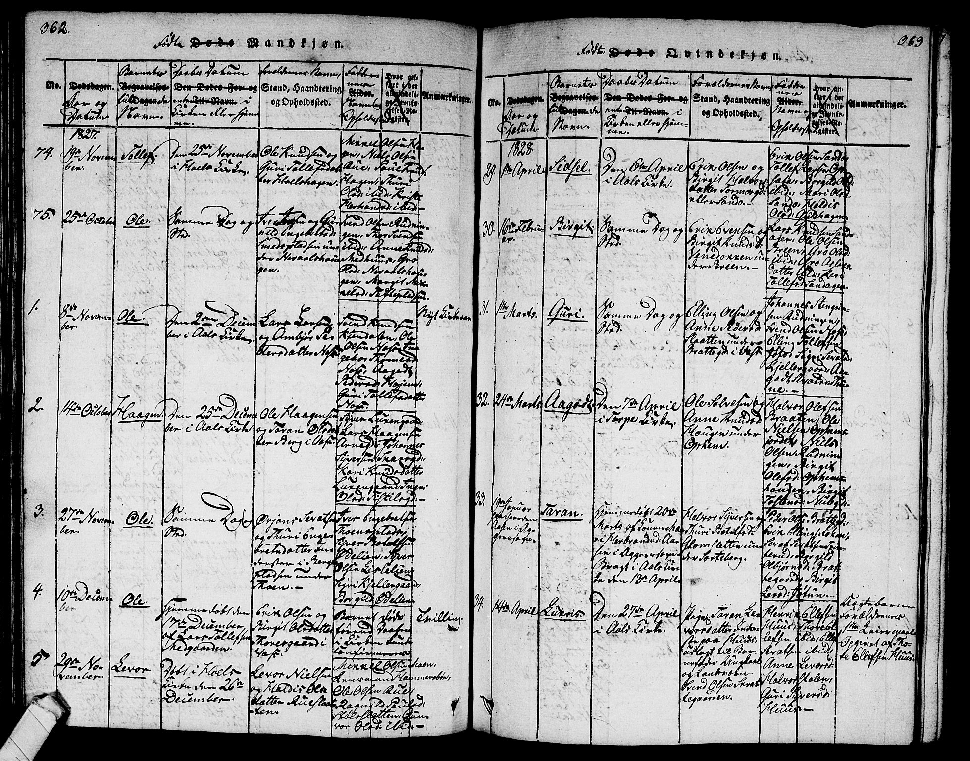 Ål kirkebøker, SAKO/A-249/G/Ga/L0001: Parish register (copy) no. 1, 1815-1829, p. 362-363