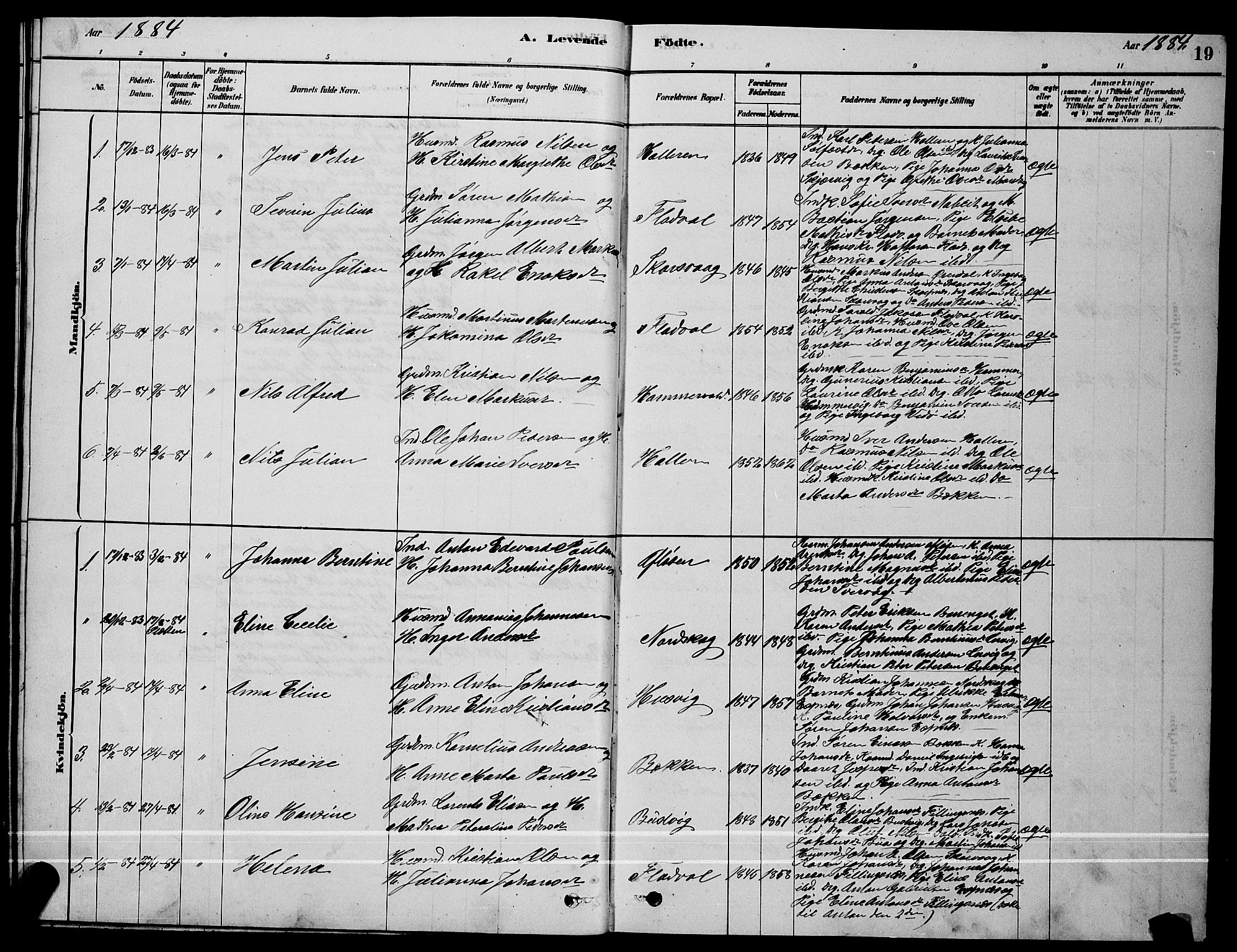 Ministerialprotokoller, klokkerbøker og fødselsregistre - Sør-Trøndelag, SAT/A-1456/641/L0597: Parish register (copy) no. 641C01, 1878-1893, p. 19