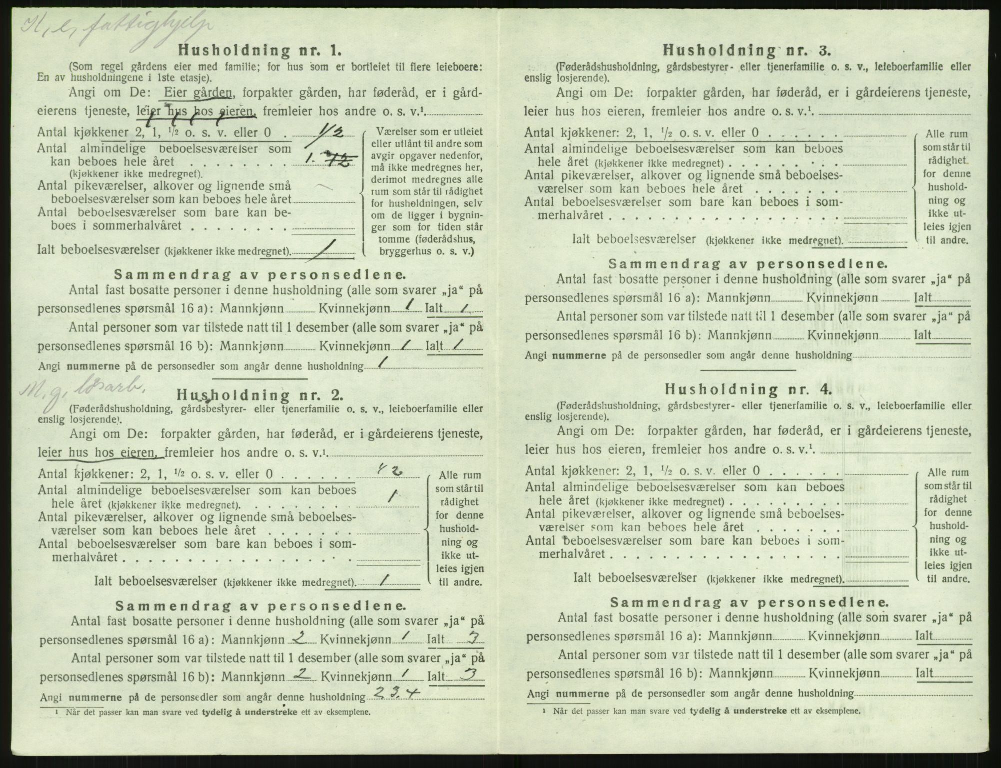 SAK, 1920 census for Holt, 1920, p. 1175