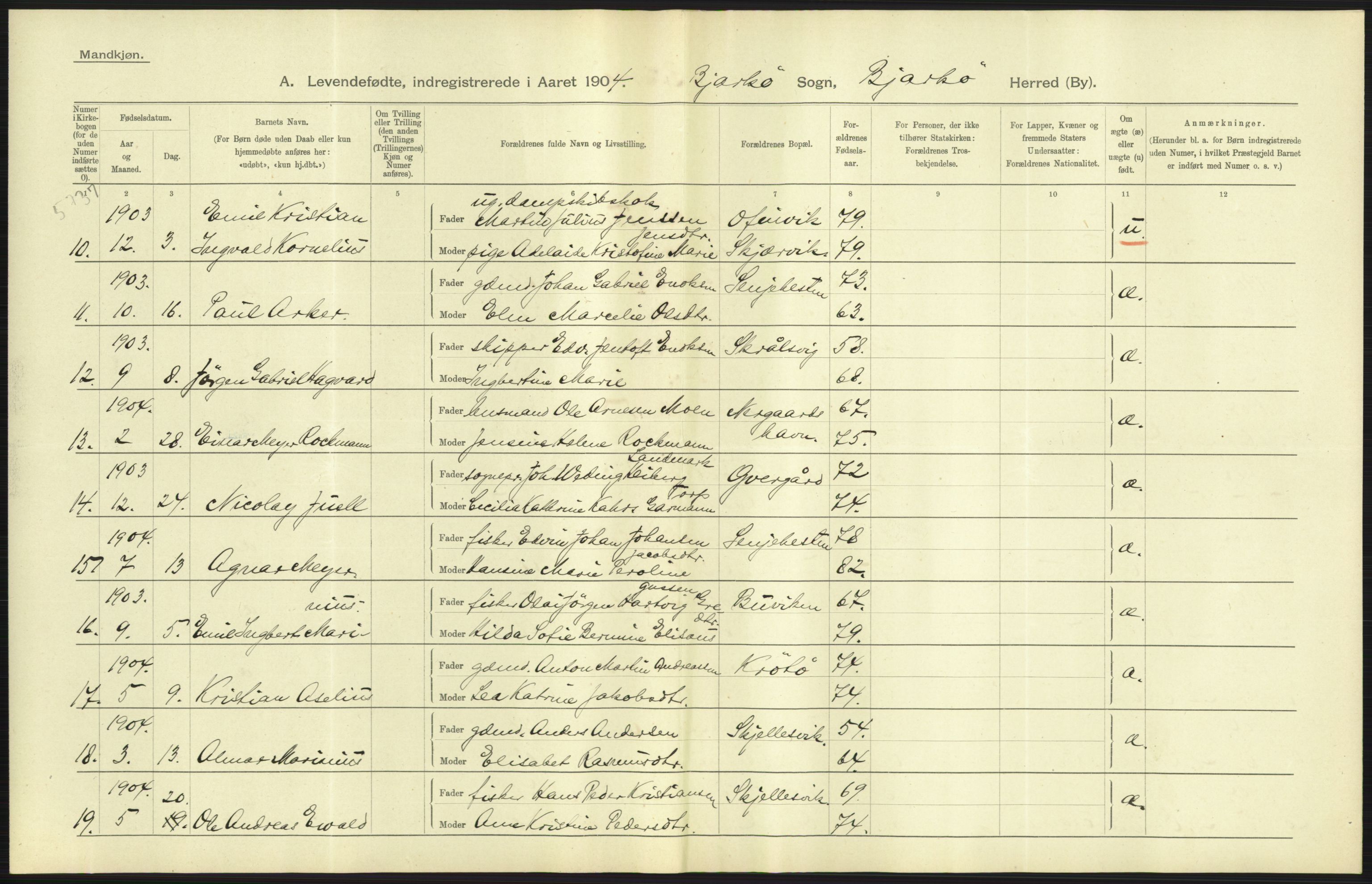 Statistisk sentralbyrå, Sosiodemografiske emner, Befolkning, AV/RA-S-2228/D/Df/Dfa/Dfab/L0022: Tromsø amt: Fødte, gifte, døde, 1904, p. 19