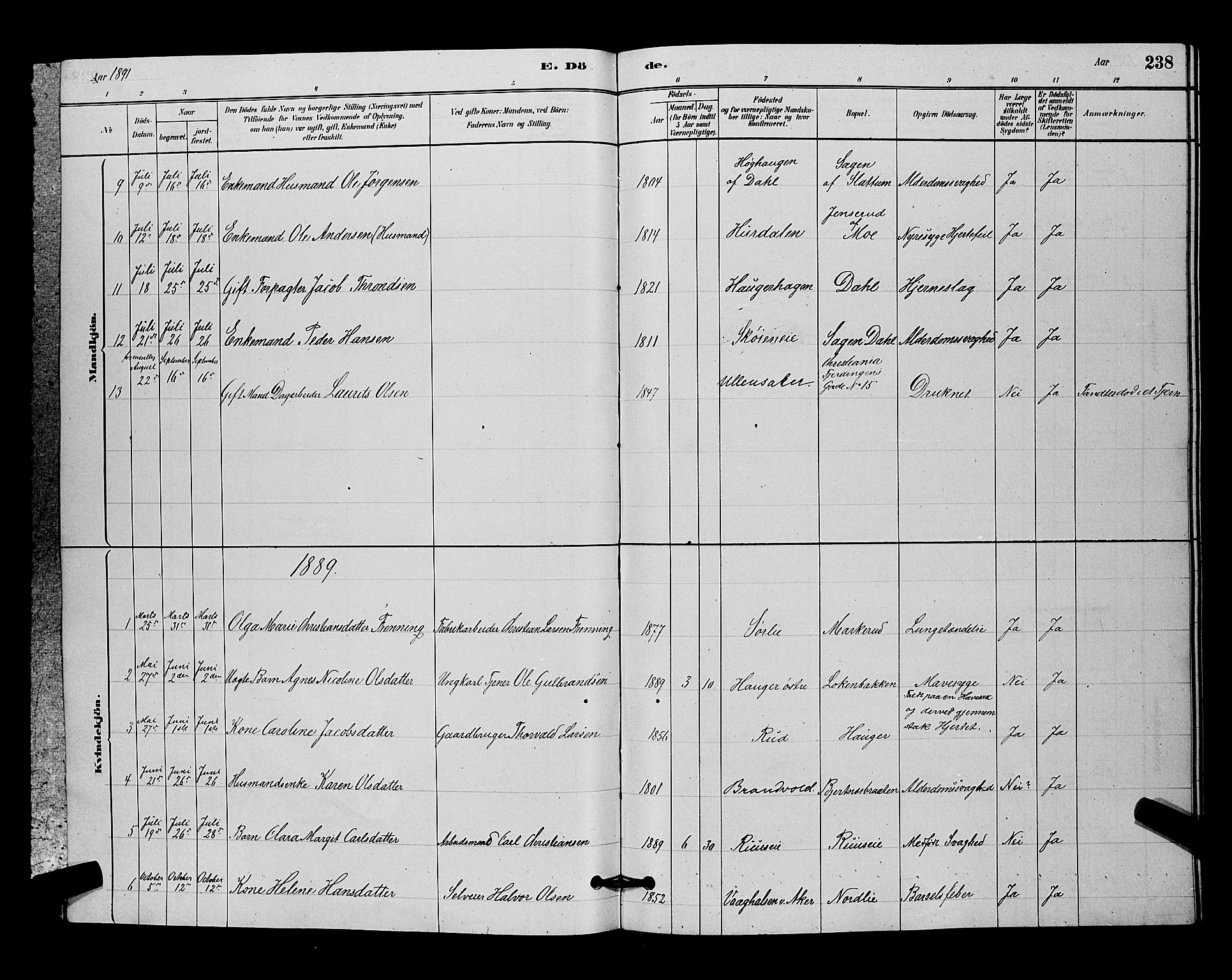 Nittedal prestekontor Kirkebøker, SAO/A-10365a/G/Ga/L0002: Parish register (copy) no. I 2, 1879-1901, p. 238