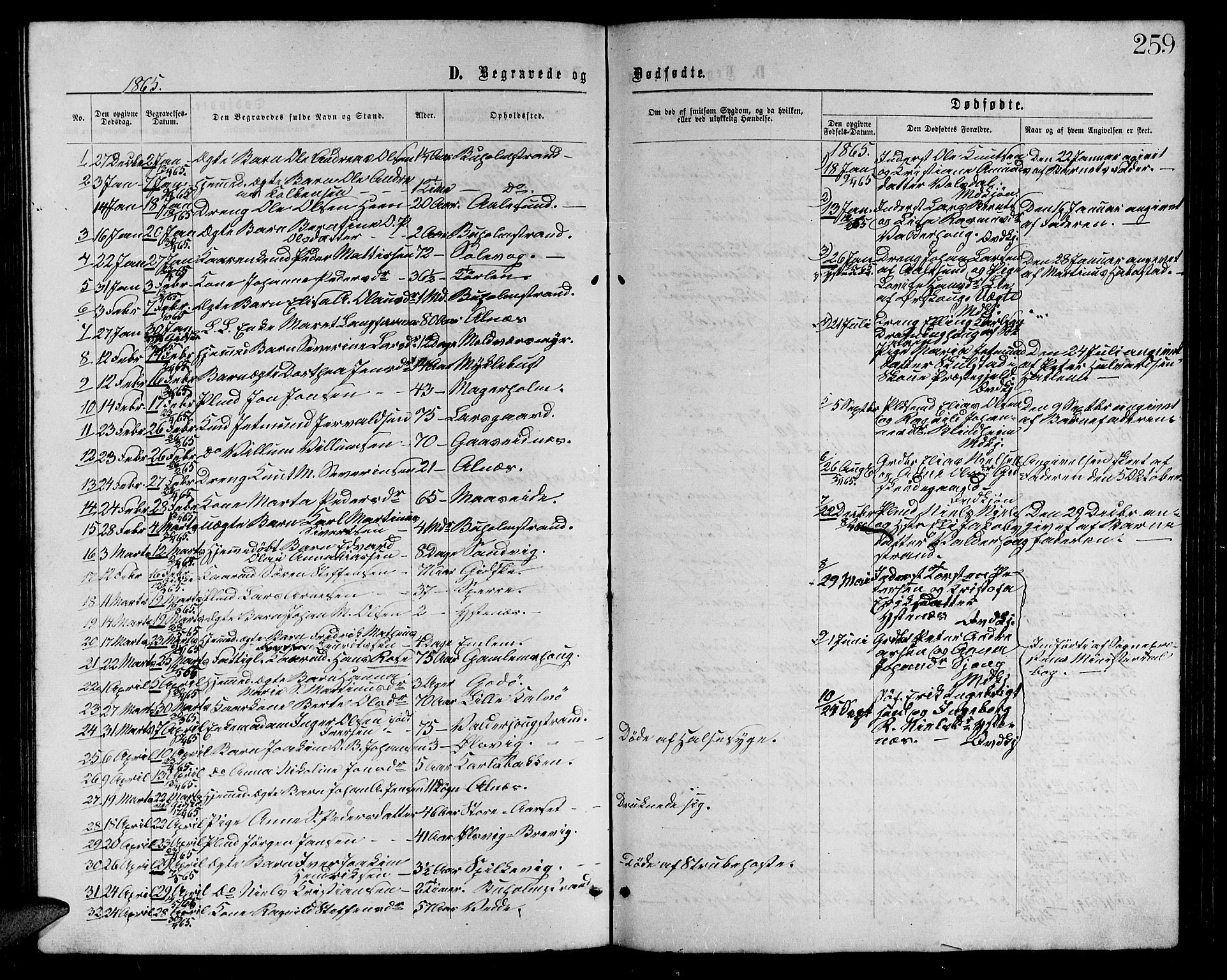 Ministerialprotokoller, klokkerbøker og fødselsregistre - Møre og Romsdal, AV/SAT-A-1454/528/L0428: Parish register (copy) no. 528C09, 1864-1880, p. 259