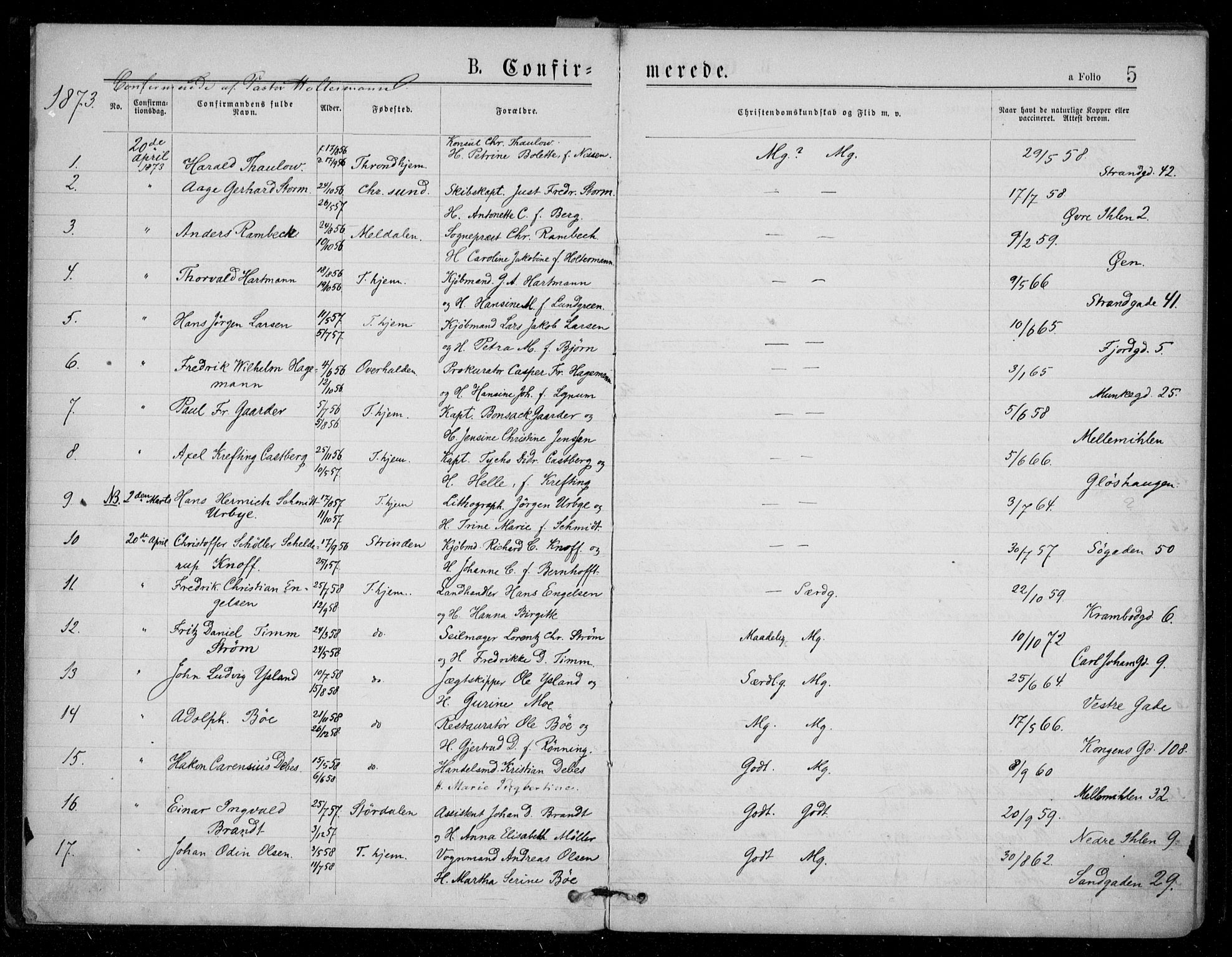 Ministerialprotokoller, klokkerbøker og fødselsregistre - Sør-Trøndelag, SAT/A-1456/602/L0121: Parish register (official) no. 602A19, 1872-1879, p. 5