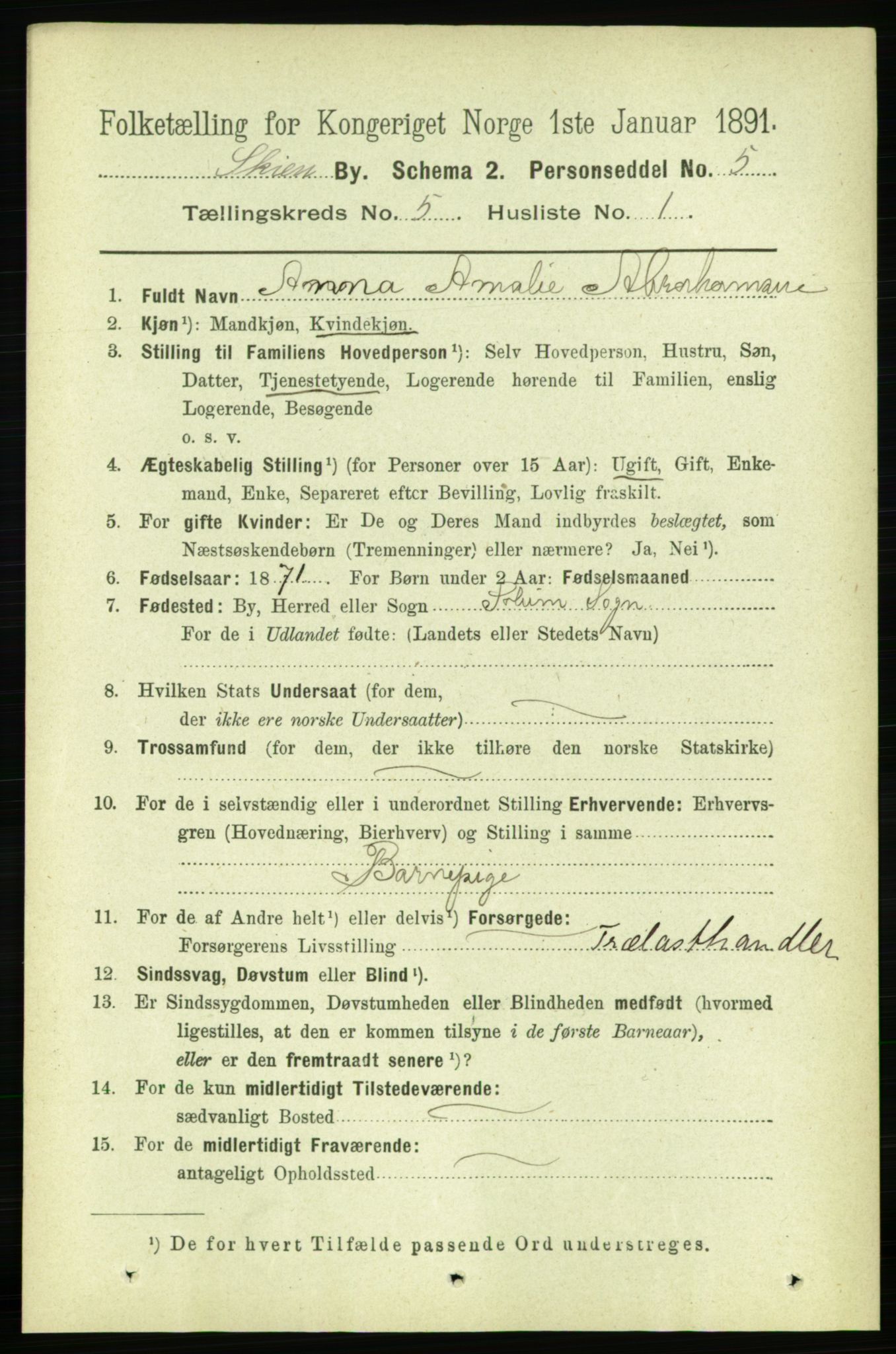 RA, 1891 census for 0806 Skien, 1891, p. 2885