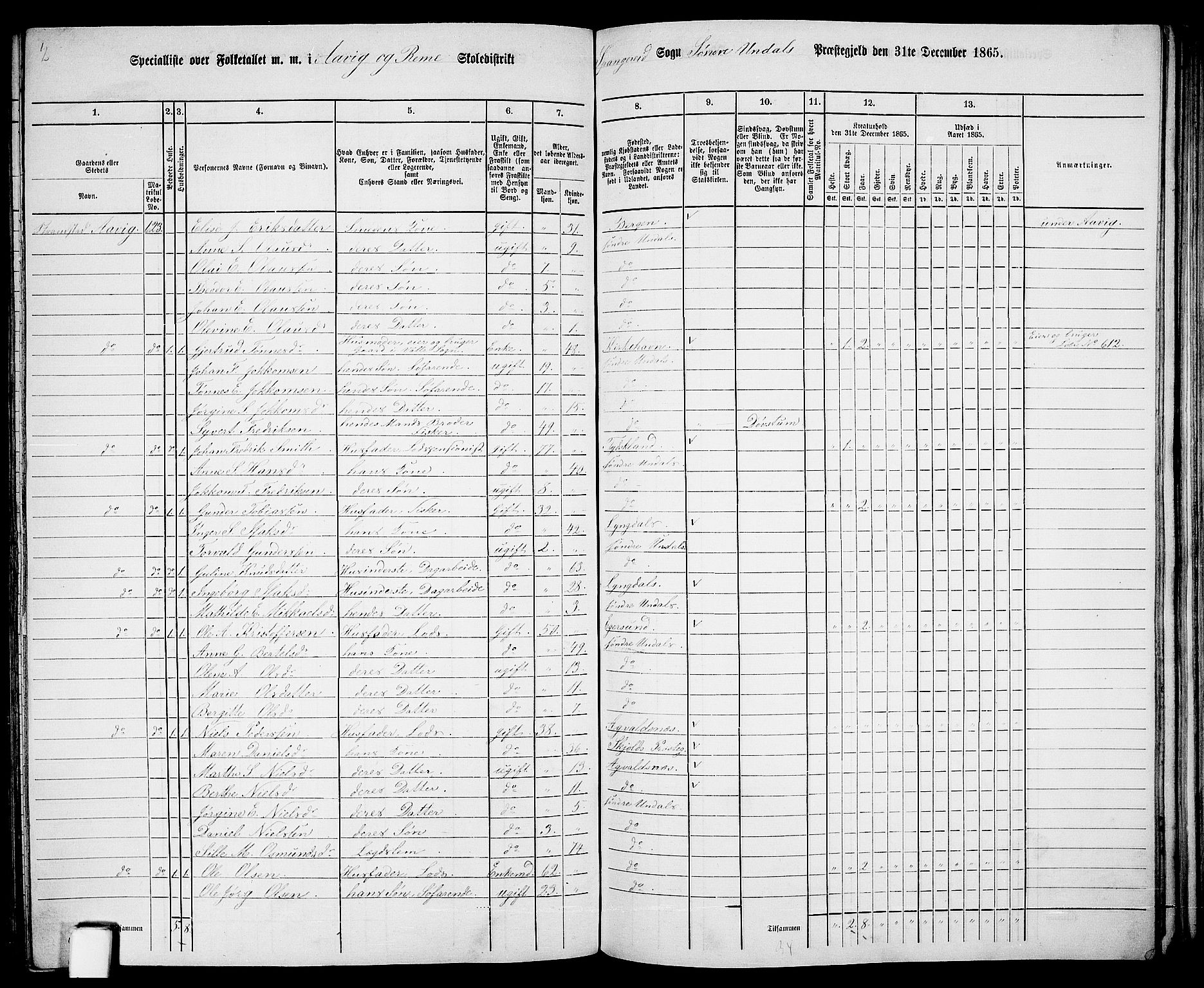 RA, 1865 census for Sør-Audnedal, 1865, p. 141