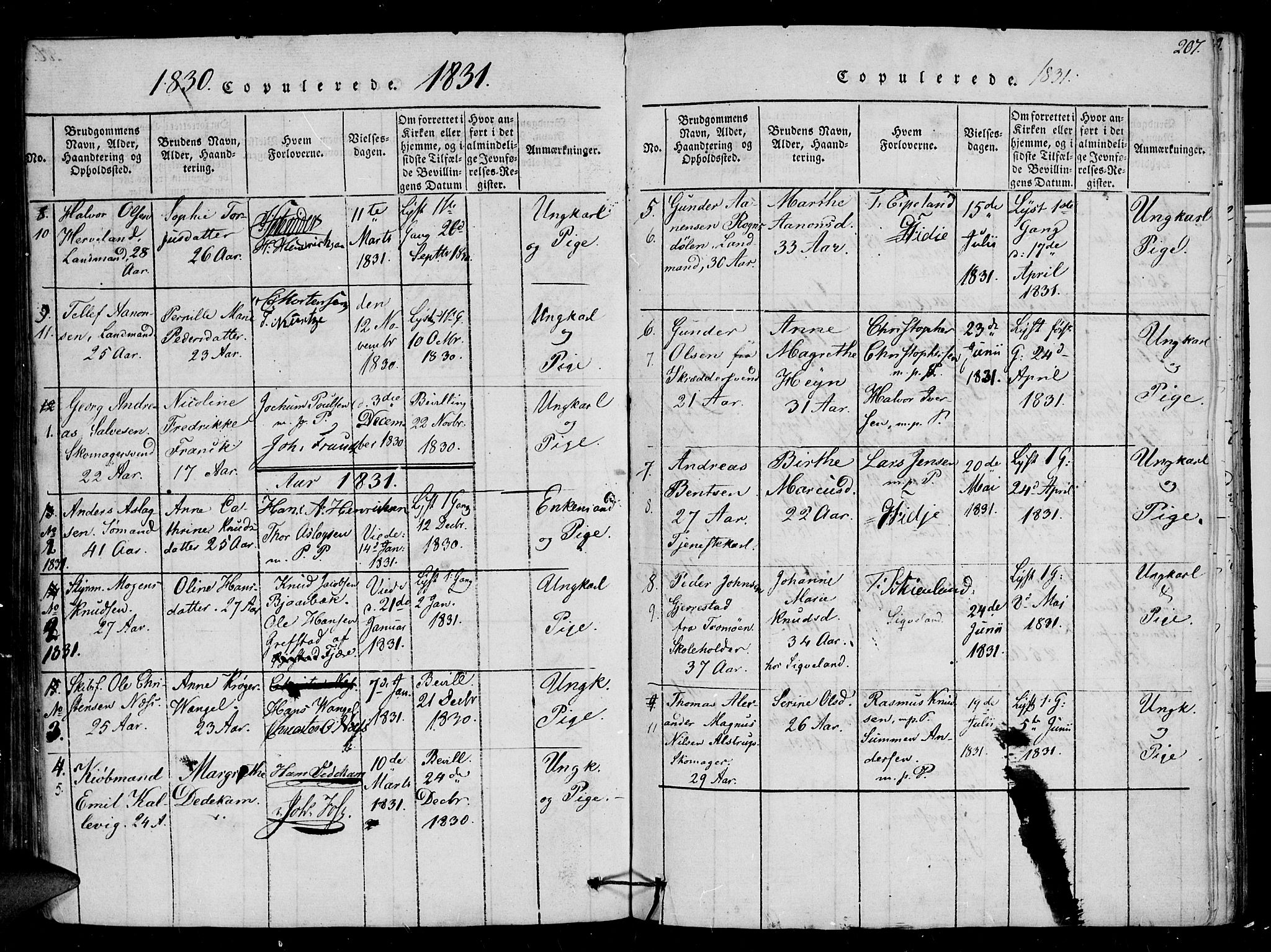 Arendal sokneprestkontor, Trefoldighet, SAK/1111-0040/F/Fb/L0001: Parish register (copy) no. B 1, 1816-1838, p. 207