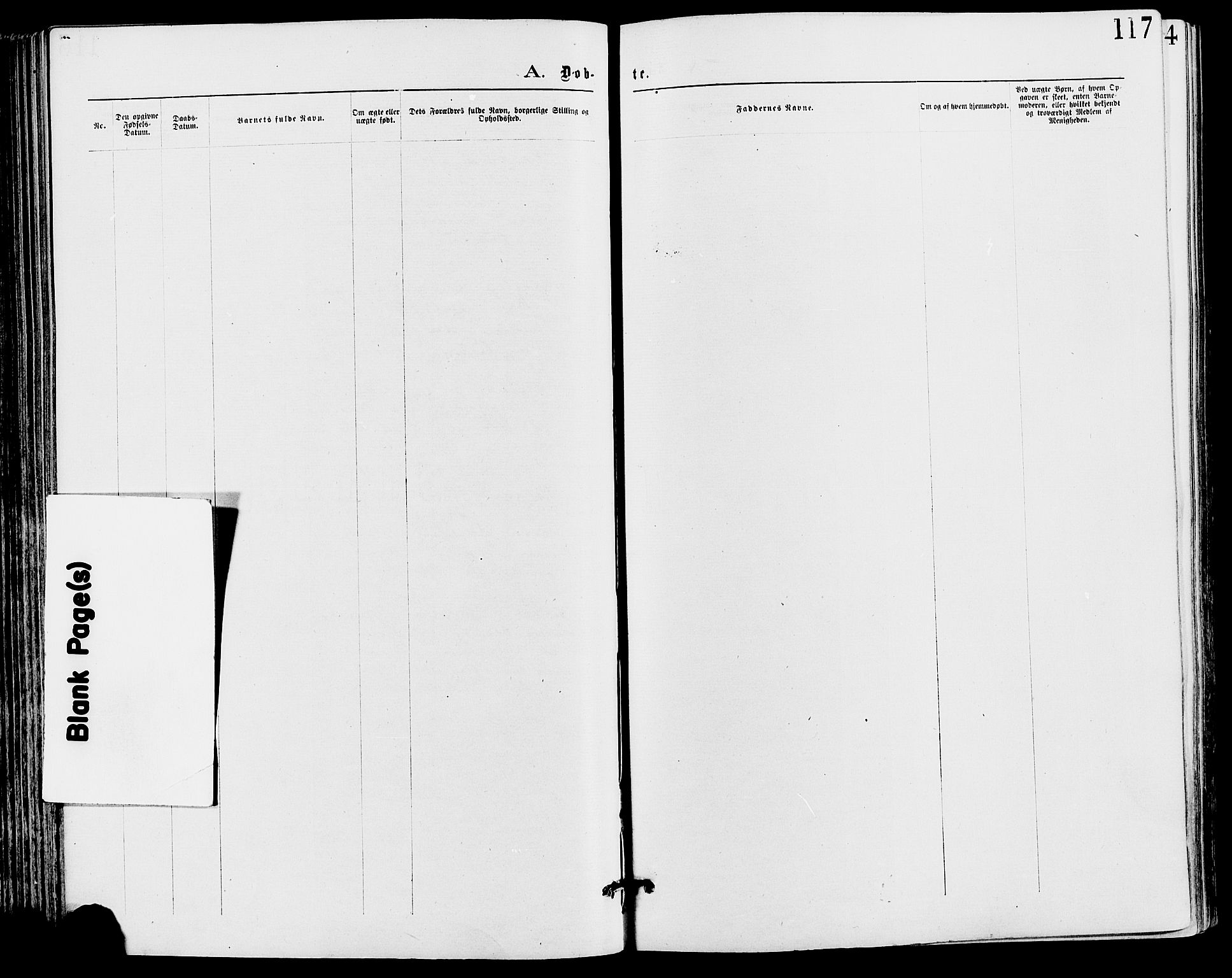 Stor-Elvdal prestekontor, SAH/PREST-052/H/Ha/Haa/L0001: Parish register (official) no. 1, 1871-1882, p. 117