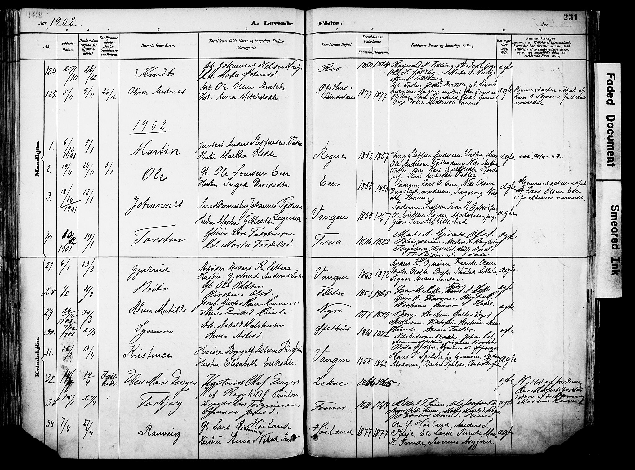 Voss sokneprestembete, AV/SAB-A-79001/H/Haa: Parish register (official) no. A 21, 1887-1903, p. 231