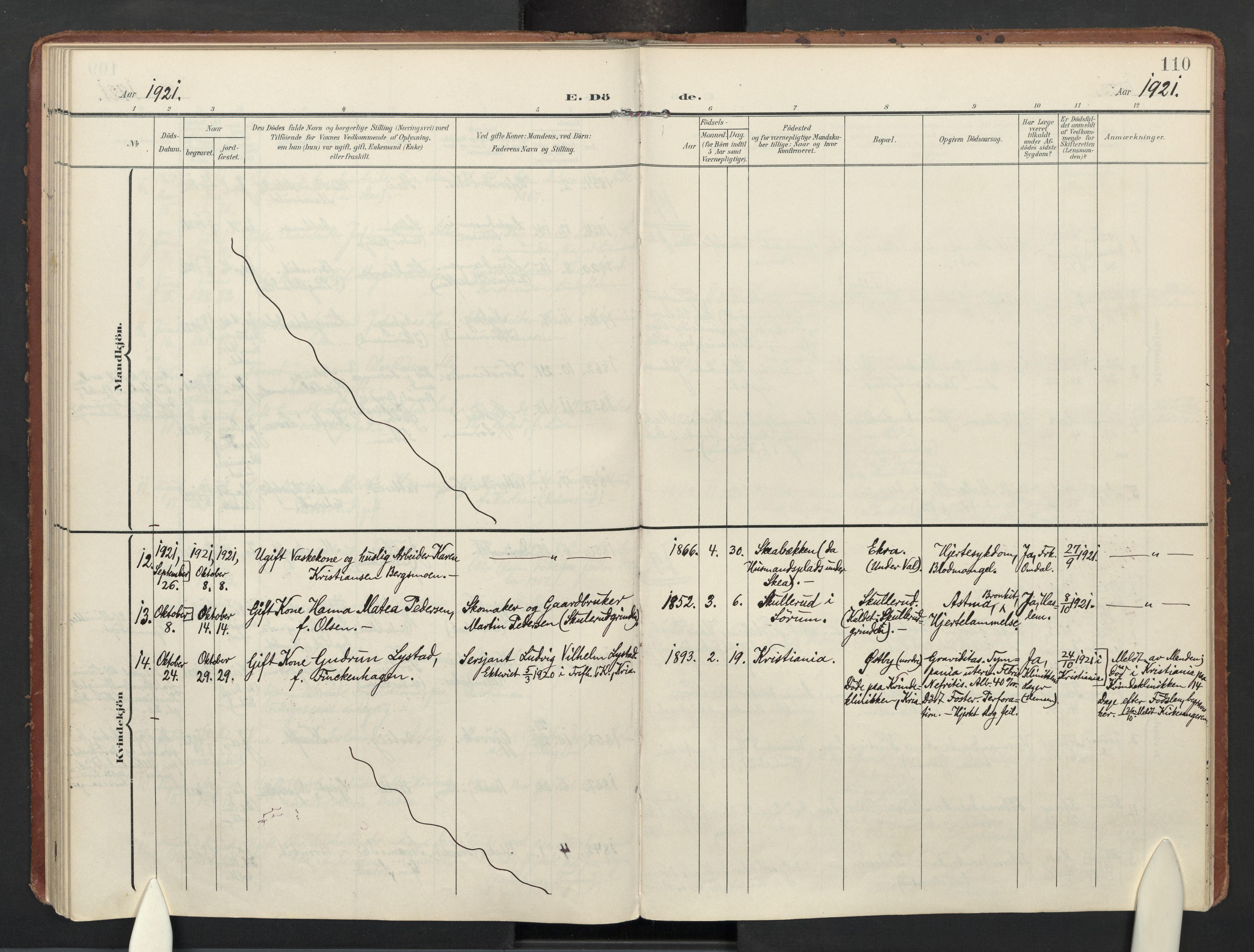 Sørum prestekontor Kirkebøker, AV/SAO-A-10303/F/Fa/L0009: Parish register (official) no. I 9, 1905-1931, p. 110