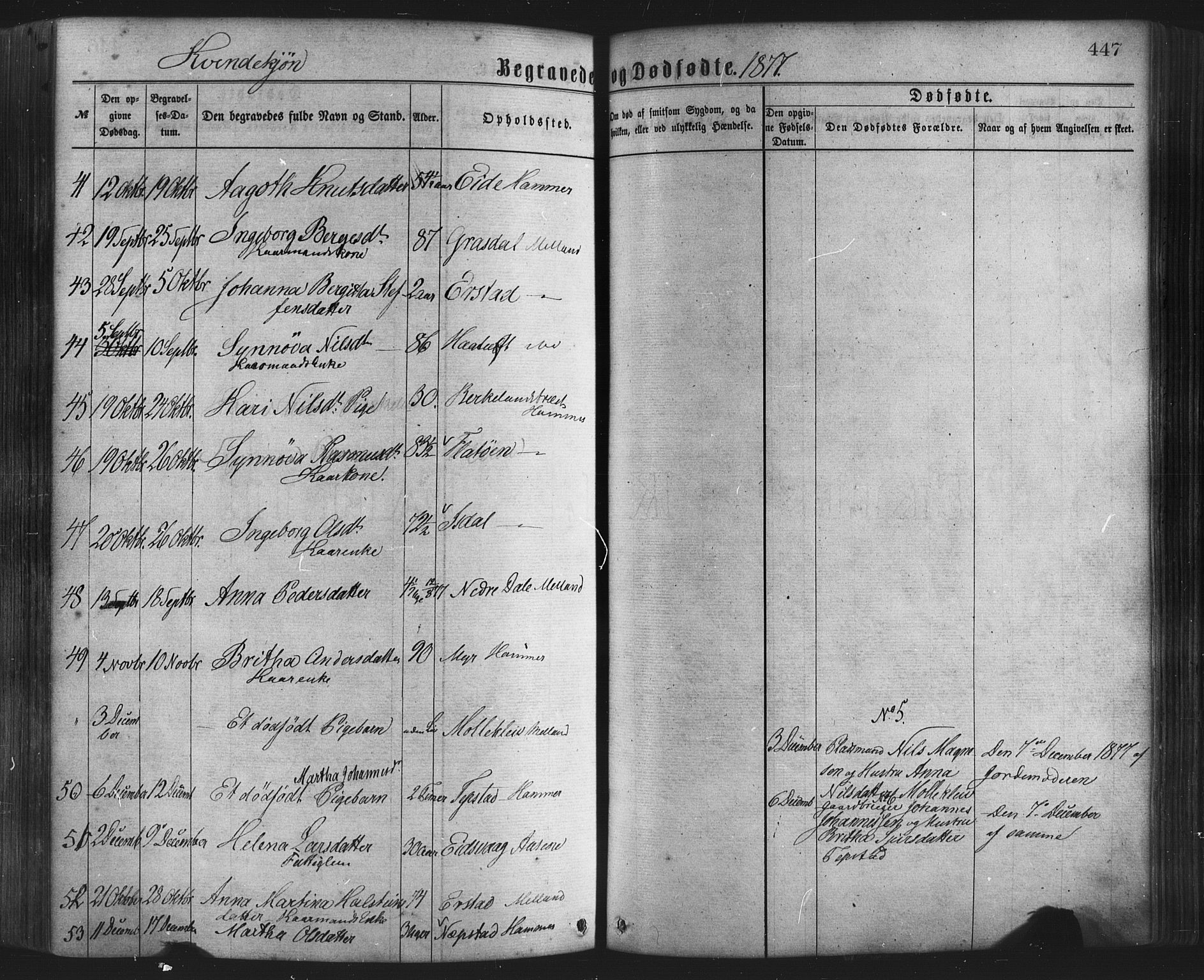 Hamre sokneprestembete, AV/SAB-A-75501/H/Ha/Haa/Haaa/L0015: Parish register (official) no. A 15, 1870-1881, p. 447
