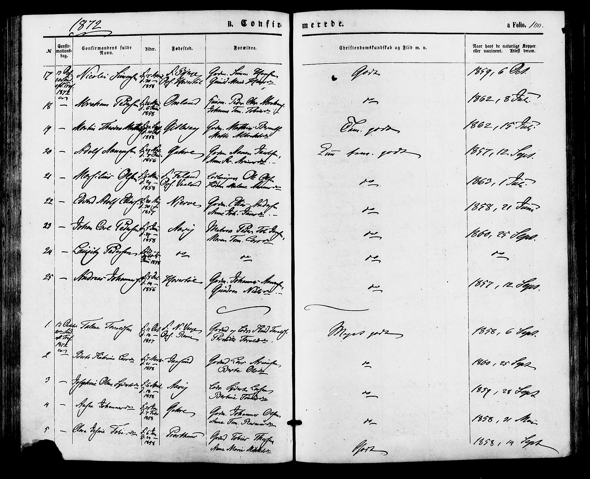 Sør-Audnedal sokneprestkontor, AV/SAK-1111-0039/F/Fa/Faa/L0003: Parish register (official) no. A 3, 1868-1883, p. 100