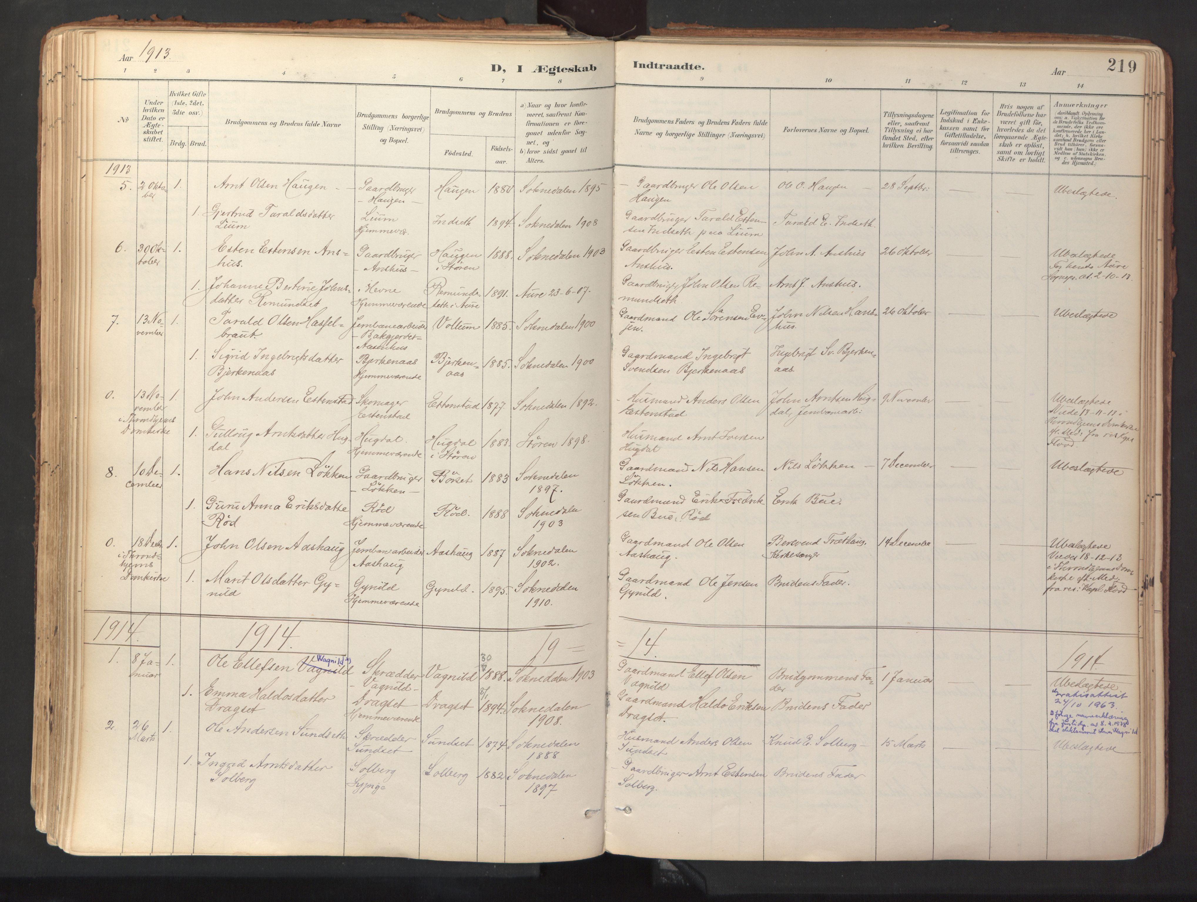Ministerialprotokoller, klokkerbøker og fødselsregistre - Sør-Trøndelag, SAT/A-1456/689/L1041: Parish register (official) no. 689A06, 1891-1923, p. 219