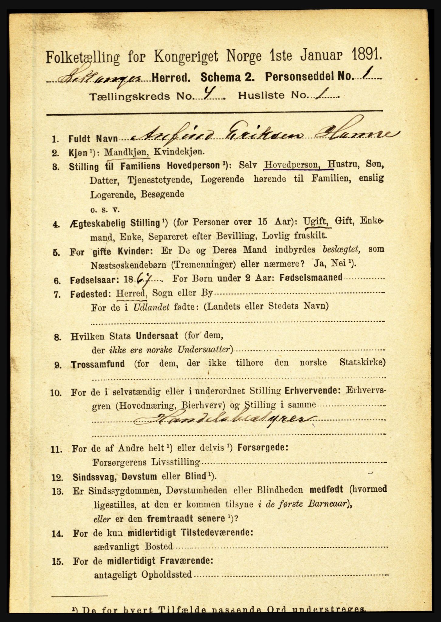 RA, 1891 census for 1419 Leikanger, 1891, p. 566