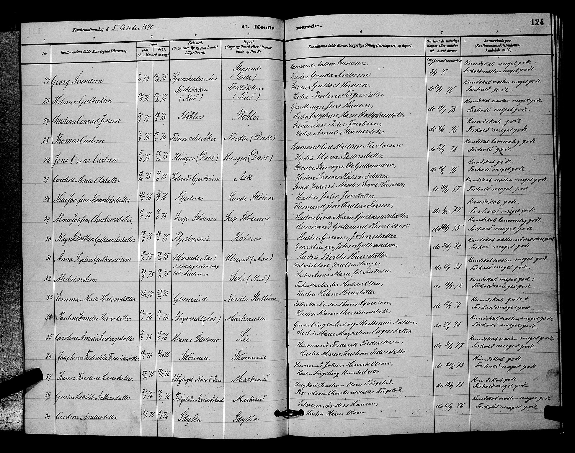 Nittedal prestekontor Kirkebøker, SAO/A-10365a/G/Ga/L0002: Parish register (copy) no. I 2, 1879-1901, p. 124
