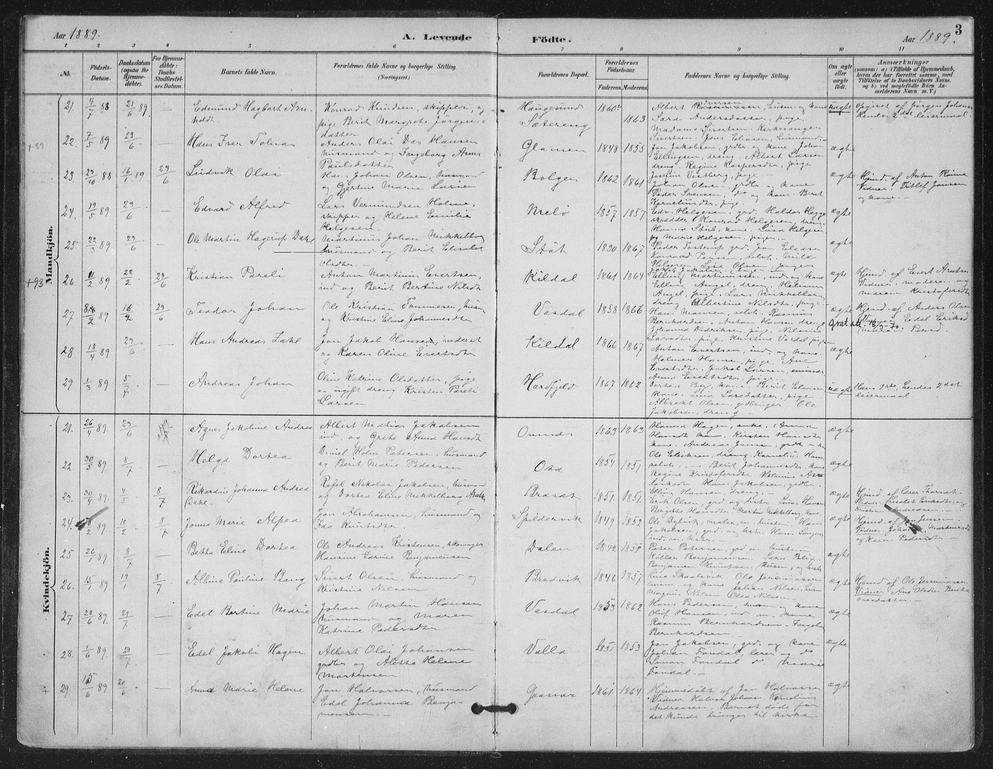Ministerialprotokoller, klokkerbøker og fødselsregistre - Nordland, SAT/A-1459/843/L0628: Parish register (official) no. 843A03, 1889-1907, p. 3