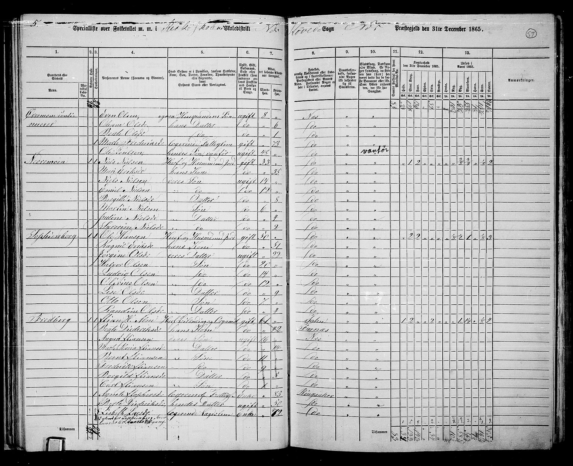 RA, 1865 census for Nes, 1865, p. 50