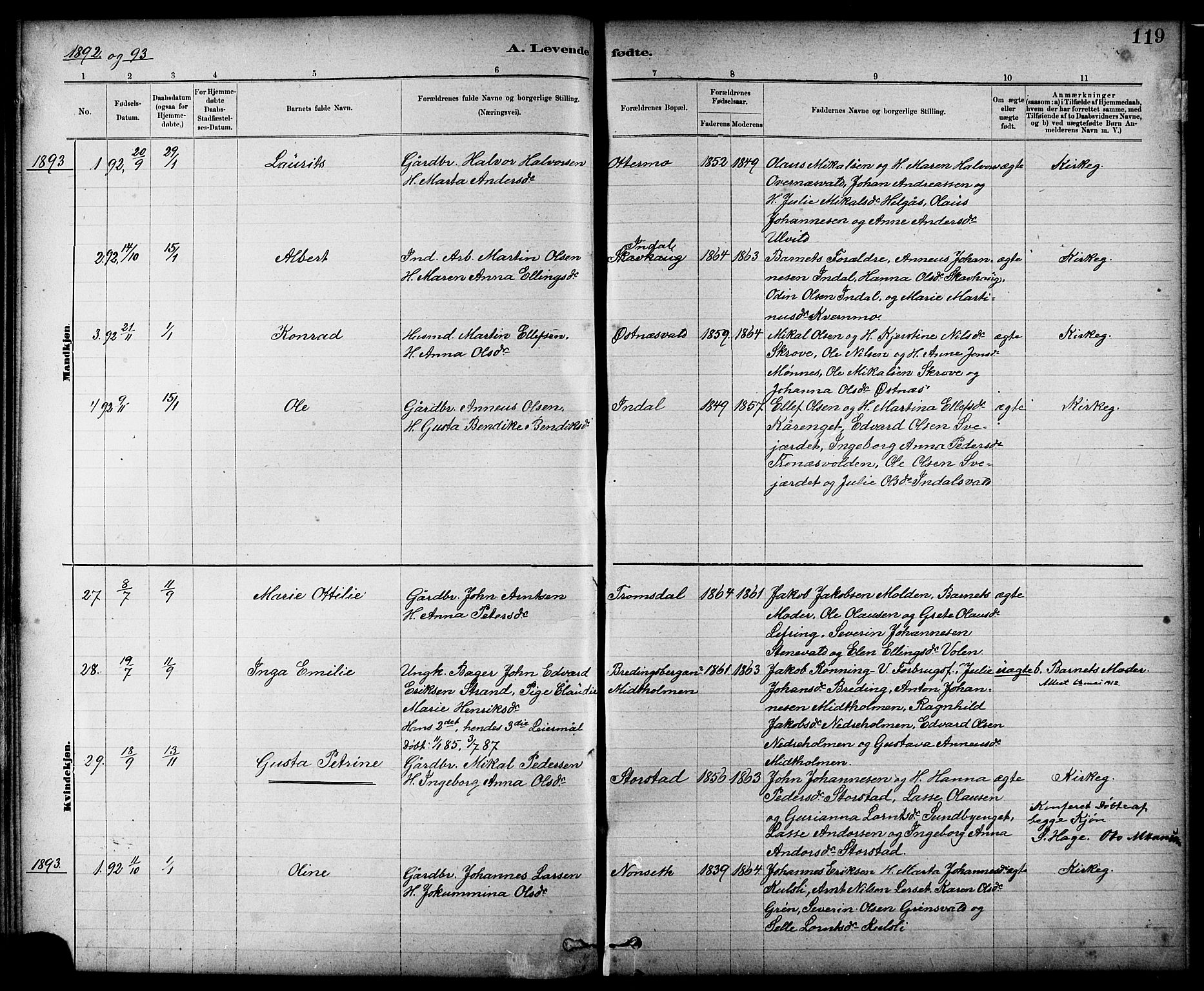 Ministerialprotokoller, klokkerbøker og fødselsregistre - Nord-Trøndelag, SAT/A-1458/724/L0267: Parish register (copy) no. 724C03, 1879-1898, p. 119