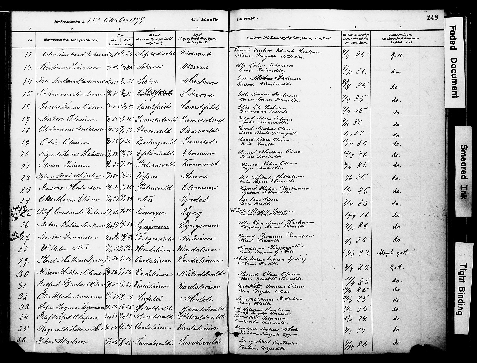 Ministerialprotokoller, klokkerbøker og fødselsregistre - Nord-Trøndelag, SAT/A-1458/723/L0244: Parish register (official) no. 723A13, 1881-1899, p. 248