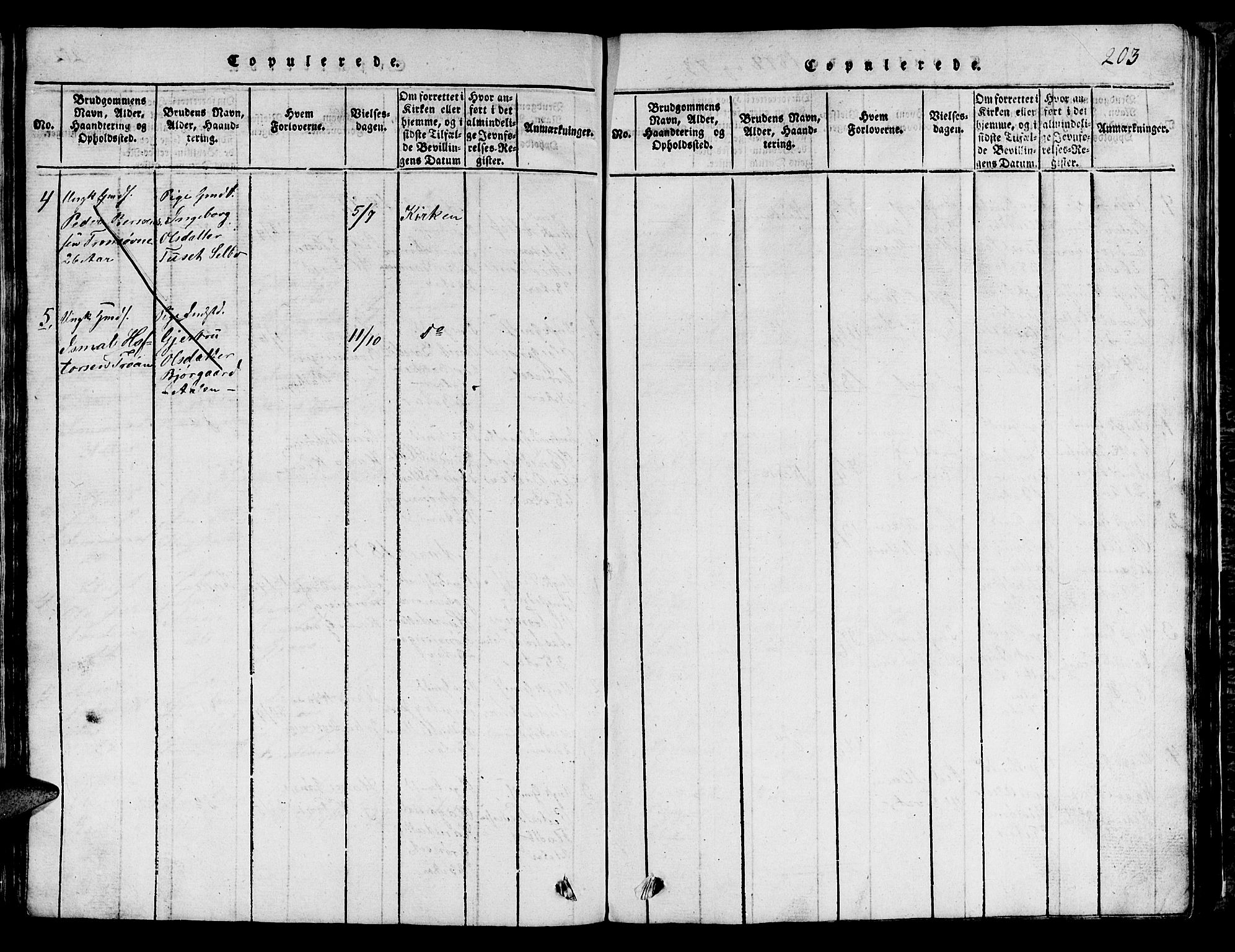 Ministerialprotokoller, klokkerbøker og fødselsregistre - Sør-Trøndelag, SAT/A-1456/685/L0976: Parish register (copy) no. 685C01, 1817-1878, p. 203