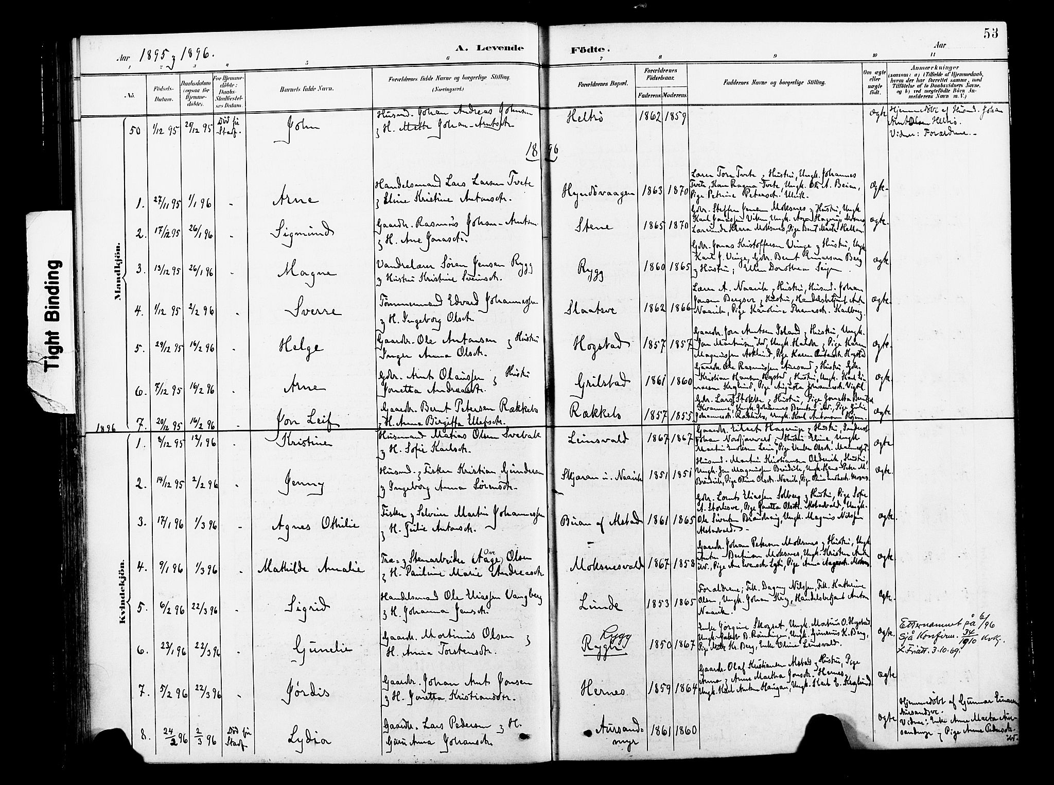 Ministerialprotokoller, klokkerbøker og fødselsregistre - Nord-Trøndelag, AV/SAT-A-1458/713/L0121: Parish register (official) no. 713A10, 1888-1898, p. 53