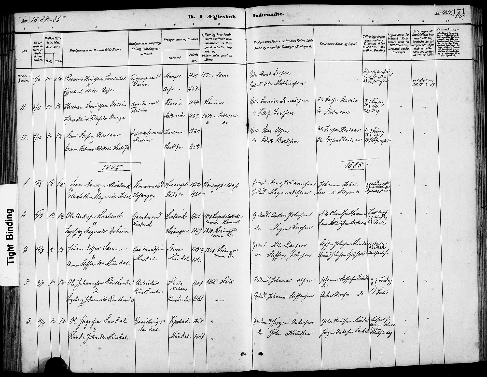 Hamre sokneprestembete, SAB/A-75501/H/Ha/Hab: Parish register (copy) no. B 3, 1881-1898, p. 171