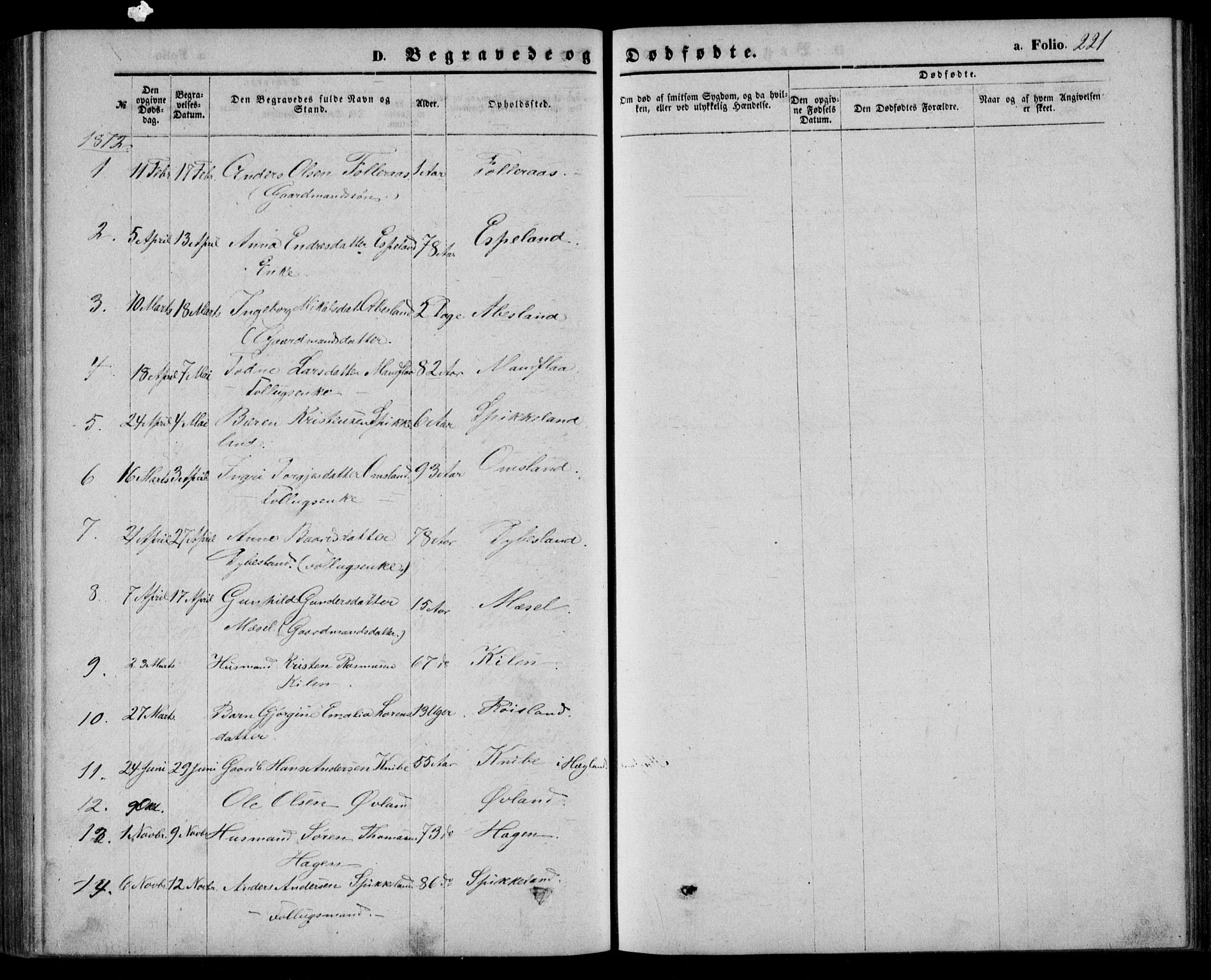 Bjelland sokneprestkontor, AV/SAK-1111-0005/F/Fb/Fbb/L0004: Parish register (copy) no. B 4, 1867-1887, p. 221