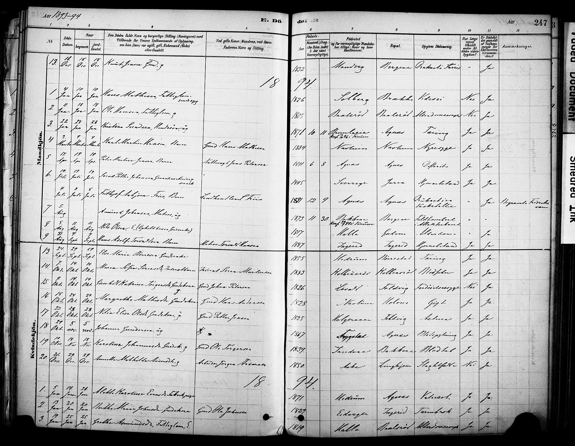 Brunlanes kirkebøker, AV/SAKO-A-342/F/Fc/L0001: Parish register (official) no. III 1, 1878-1899, p. 247