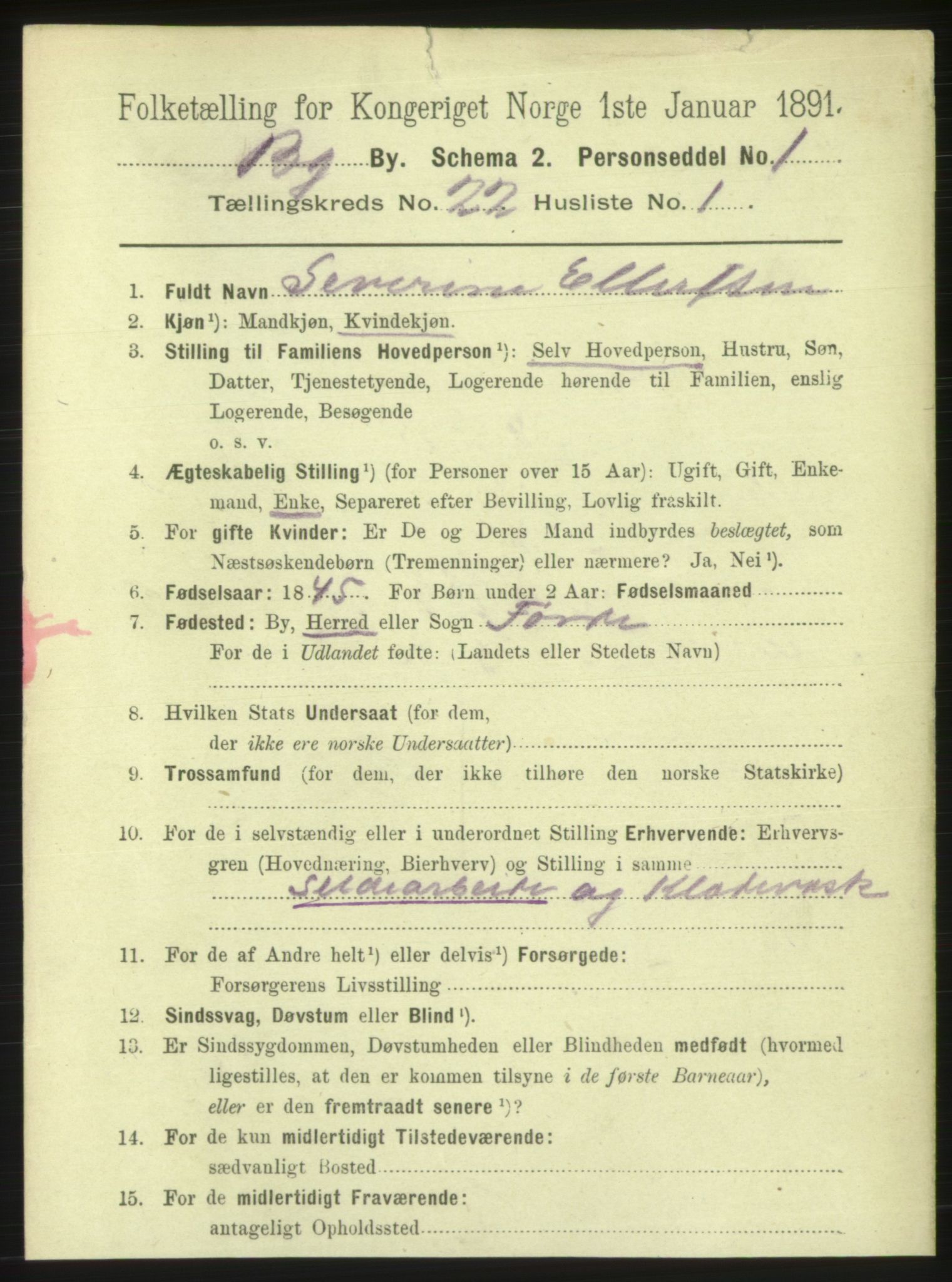 RA, 1891 Census for 1301 Bergen, 1891, p. 30022