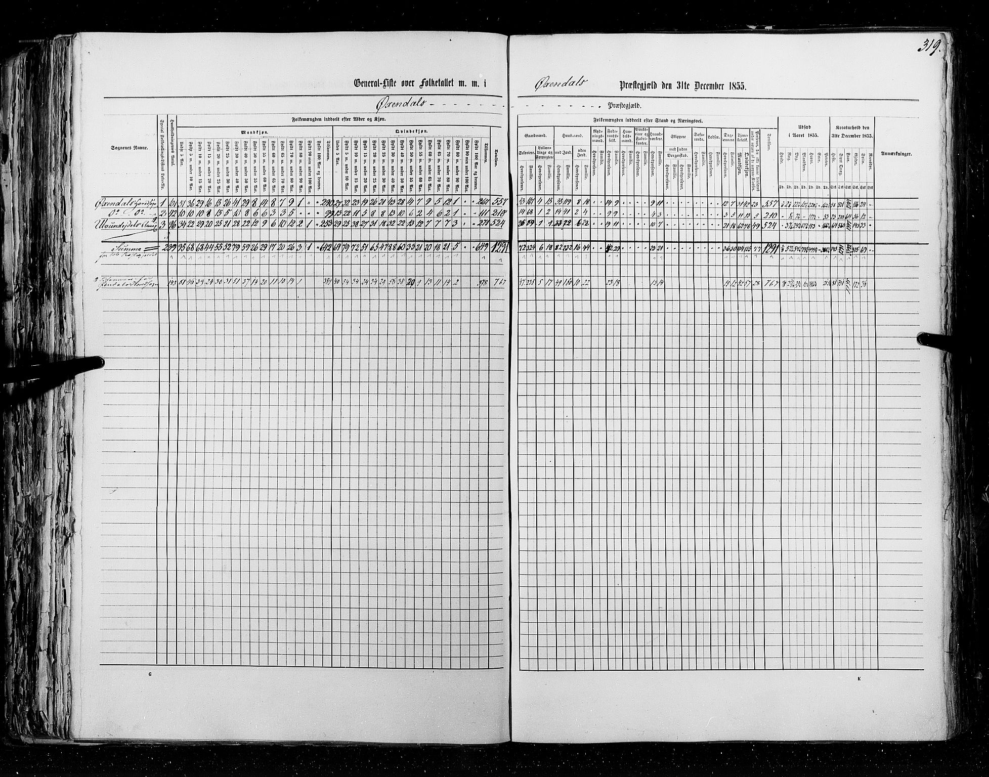 RA, Census 1855, vol. 5: Nordre Bergenhus amt, Romsdal amt og Søndre Trondhjem amt, 1855, p. 319