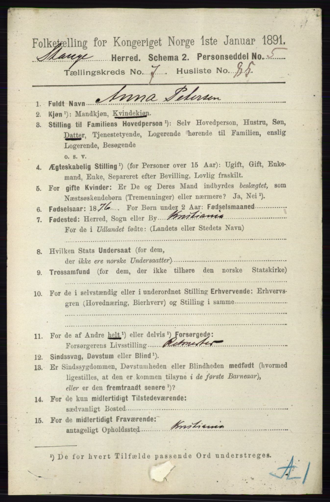 RA, 1891 census for 0417 Stange, 1891, p. 5234