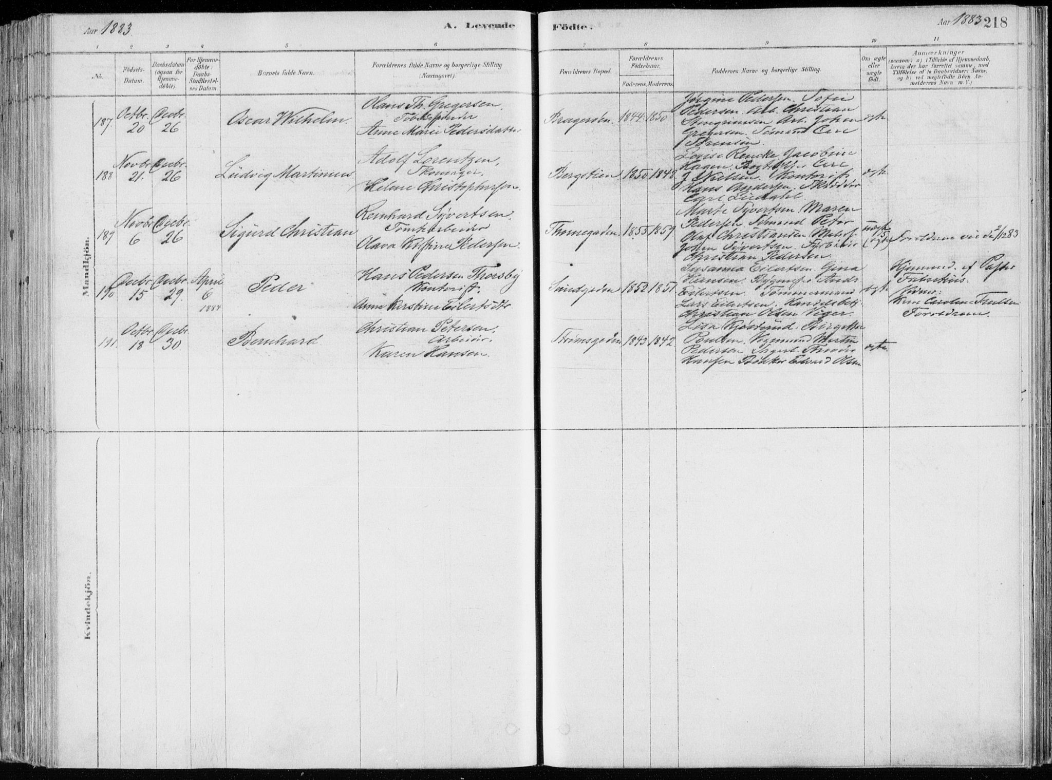 Bragernes kirkebøker, SAKO/A-6/F/Fb/L0006a: Parish register (official) no. II 6A, 1878-1885, p. 218