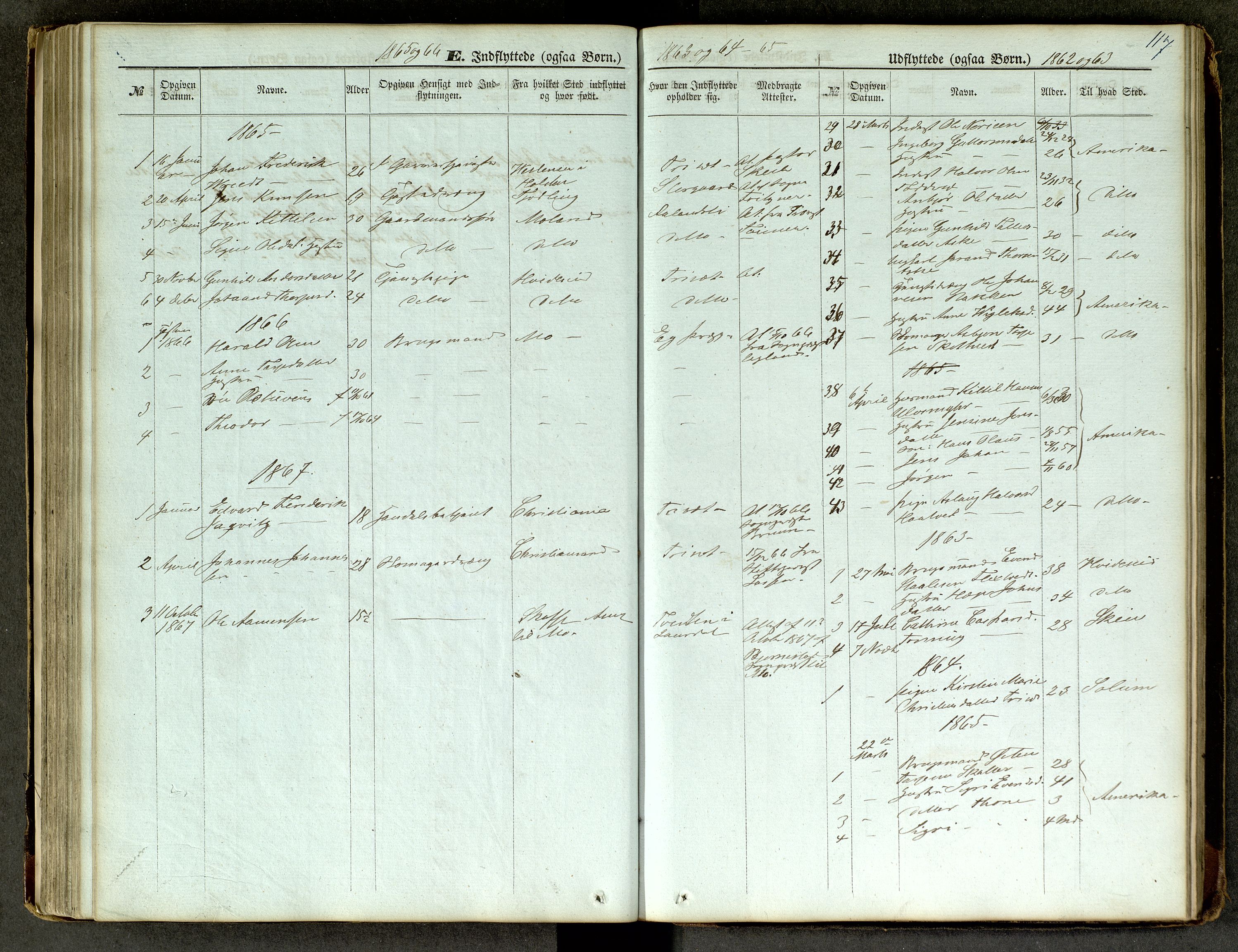 Lårdal kirkebøker, SAKO/A-284/G/Ga/L0002: Parish register (copy) no. I 2, 1861-1890, p. 117