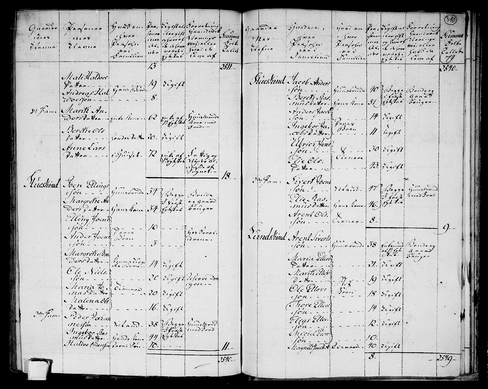 RA, 1801 census for 1721P Verdal, 1801, p. 309b-310a