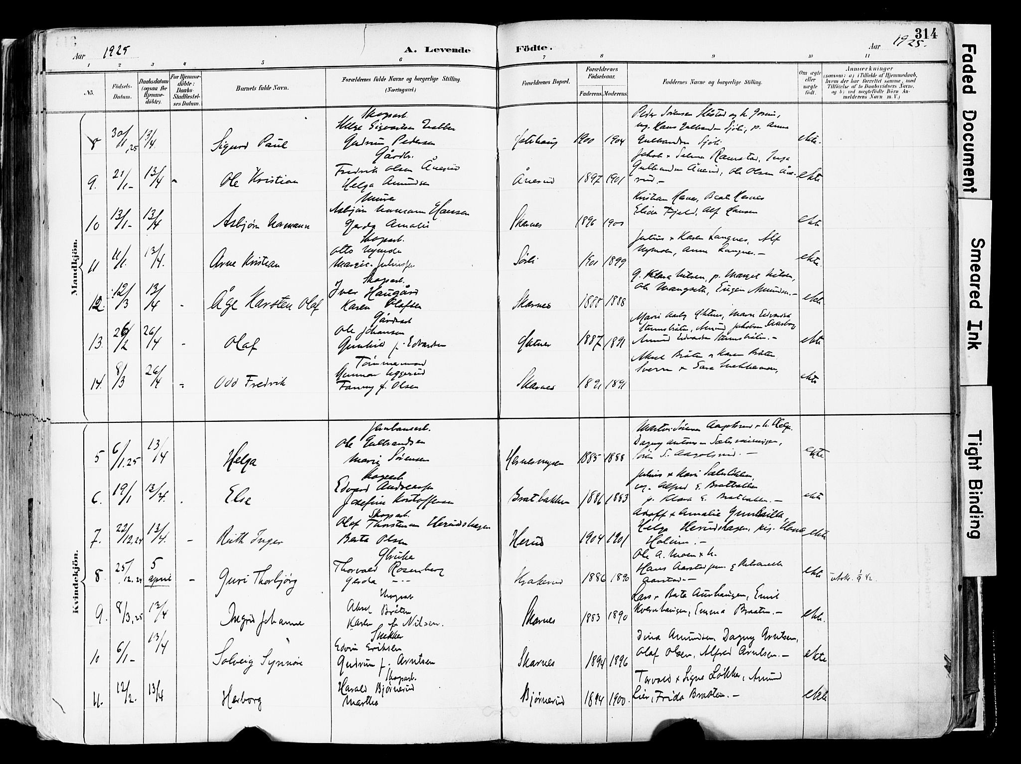 Sør-Odal prestekontor, SAH/PREST-030/H/Ha/Haa/L0006: Parish register (official) no. 6, 1886-1931, p. 314