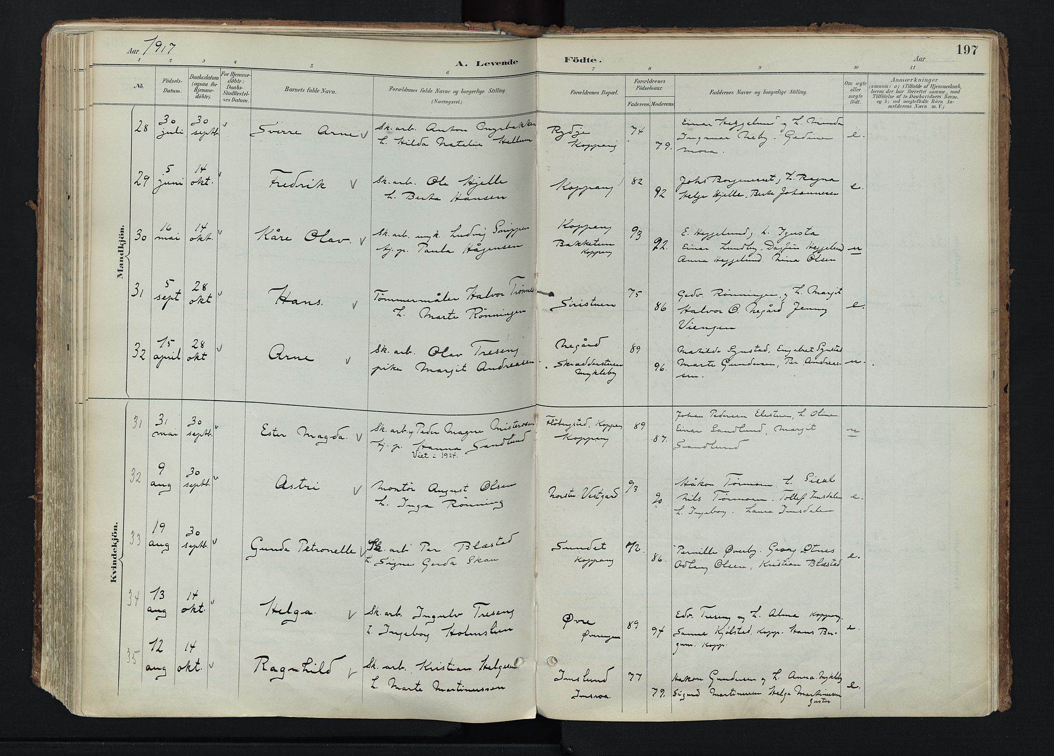 Stor-Elvdal prestekontor, AV/SAH-PREST-052/H/Ha/Haa/L0004: Parish register (official) no. 4, 1890-1922, p. 197