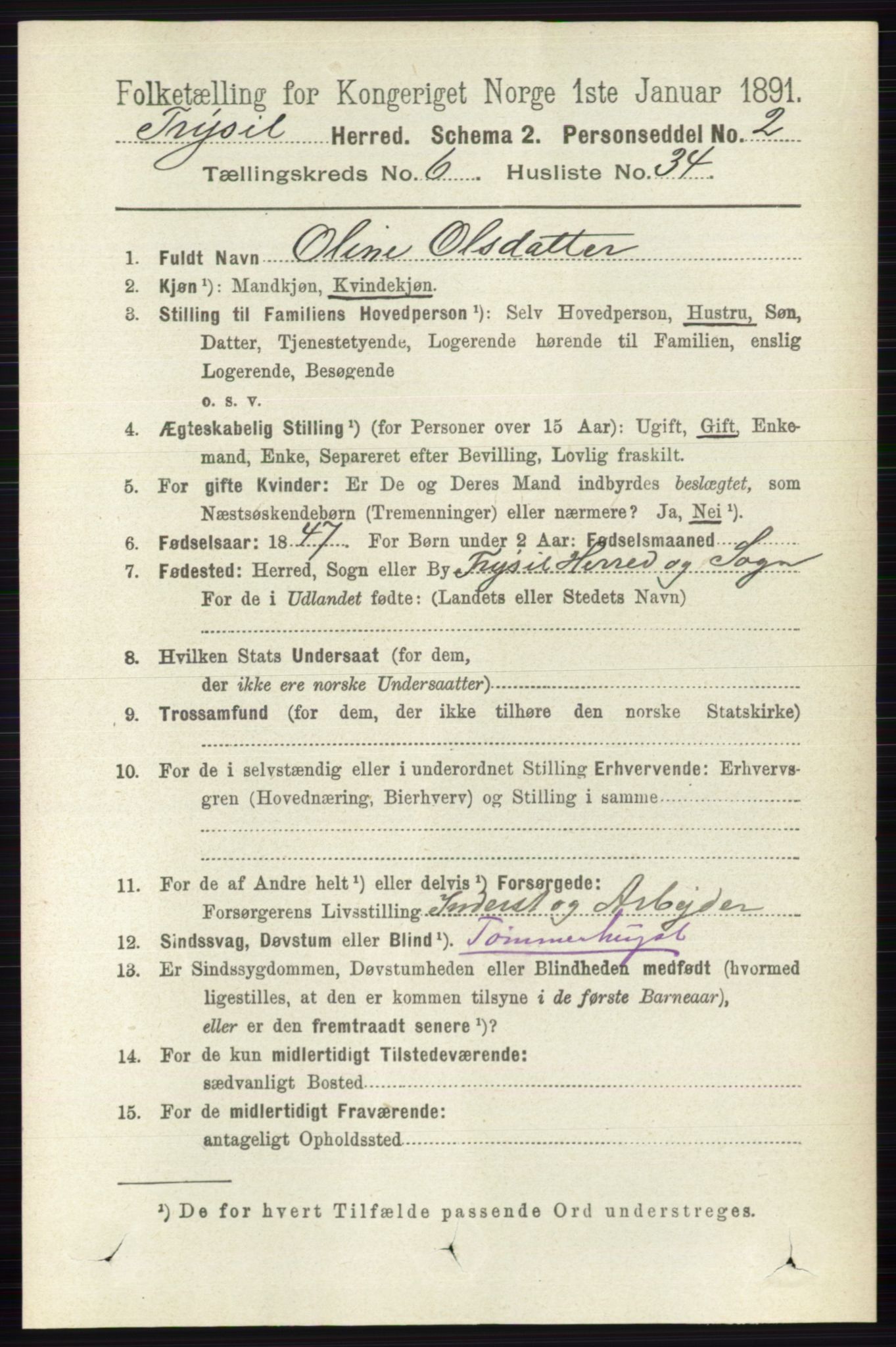 RA, 1891 census for 0428 Trysil, 1891, p. 3065