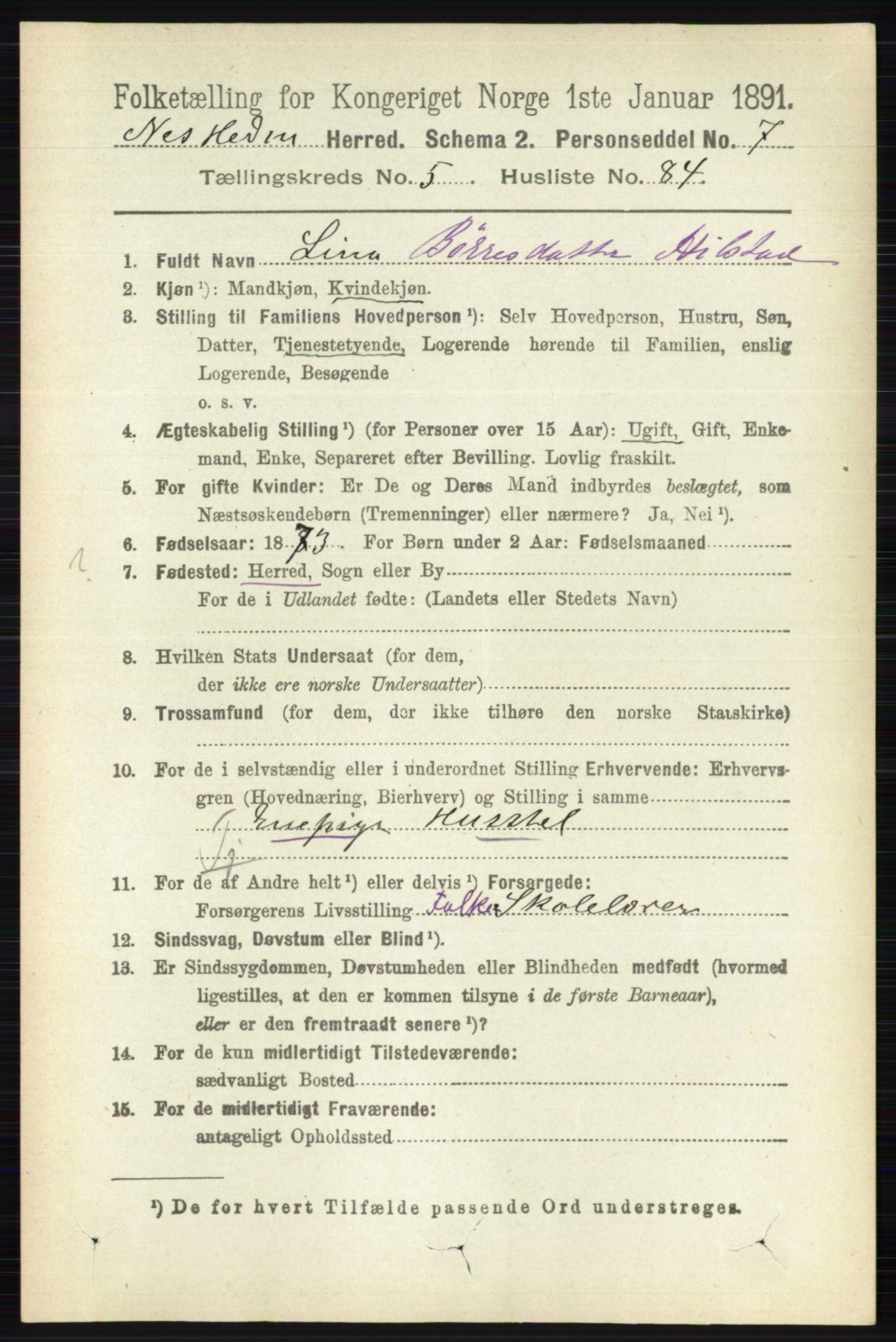 RA, 1891 census for 0411 Nes, 1891, p. 3156